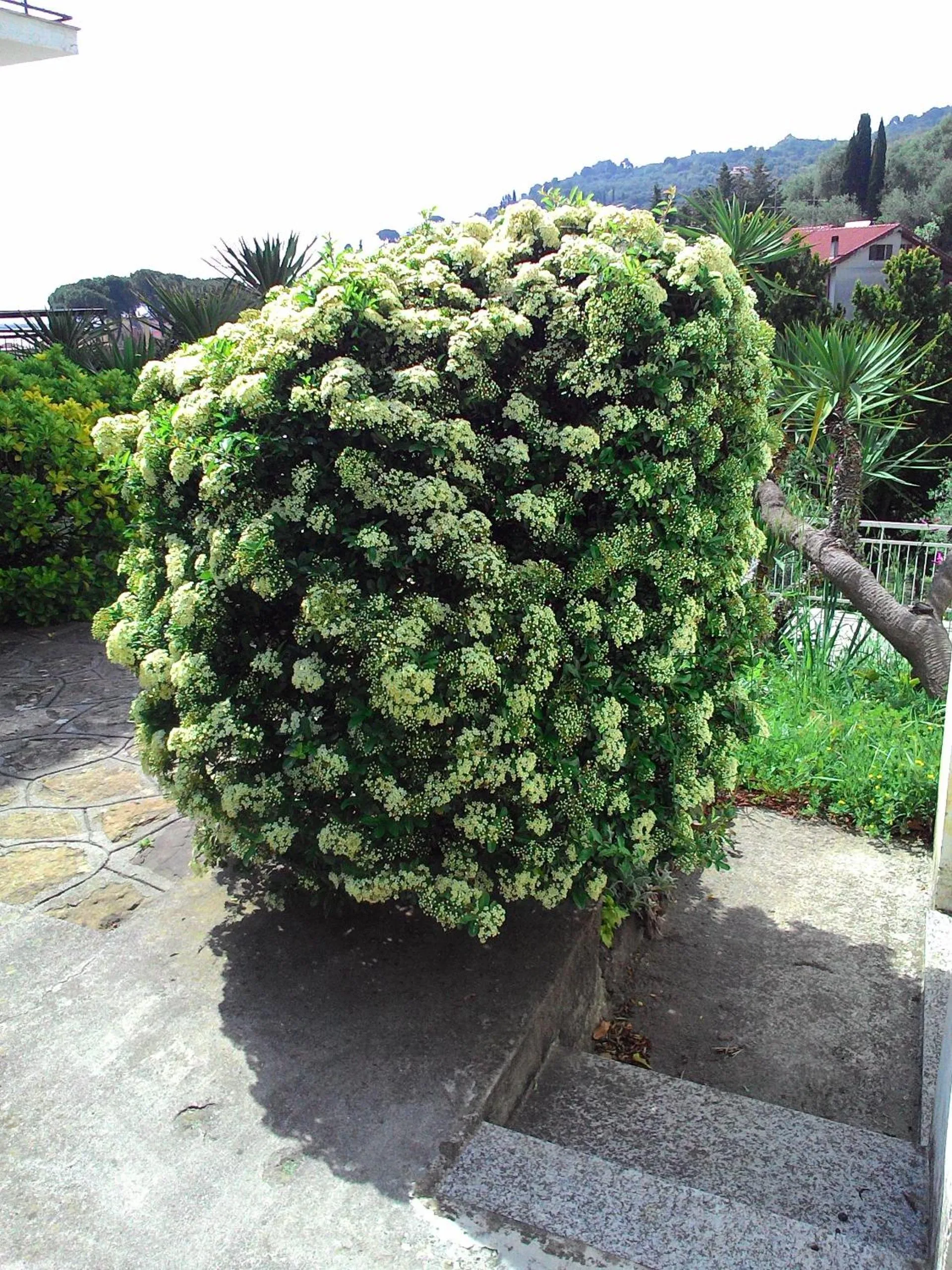 Garden in Residence La Carruba