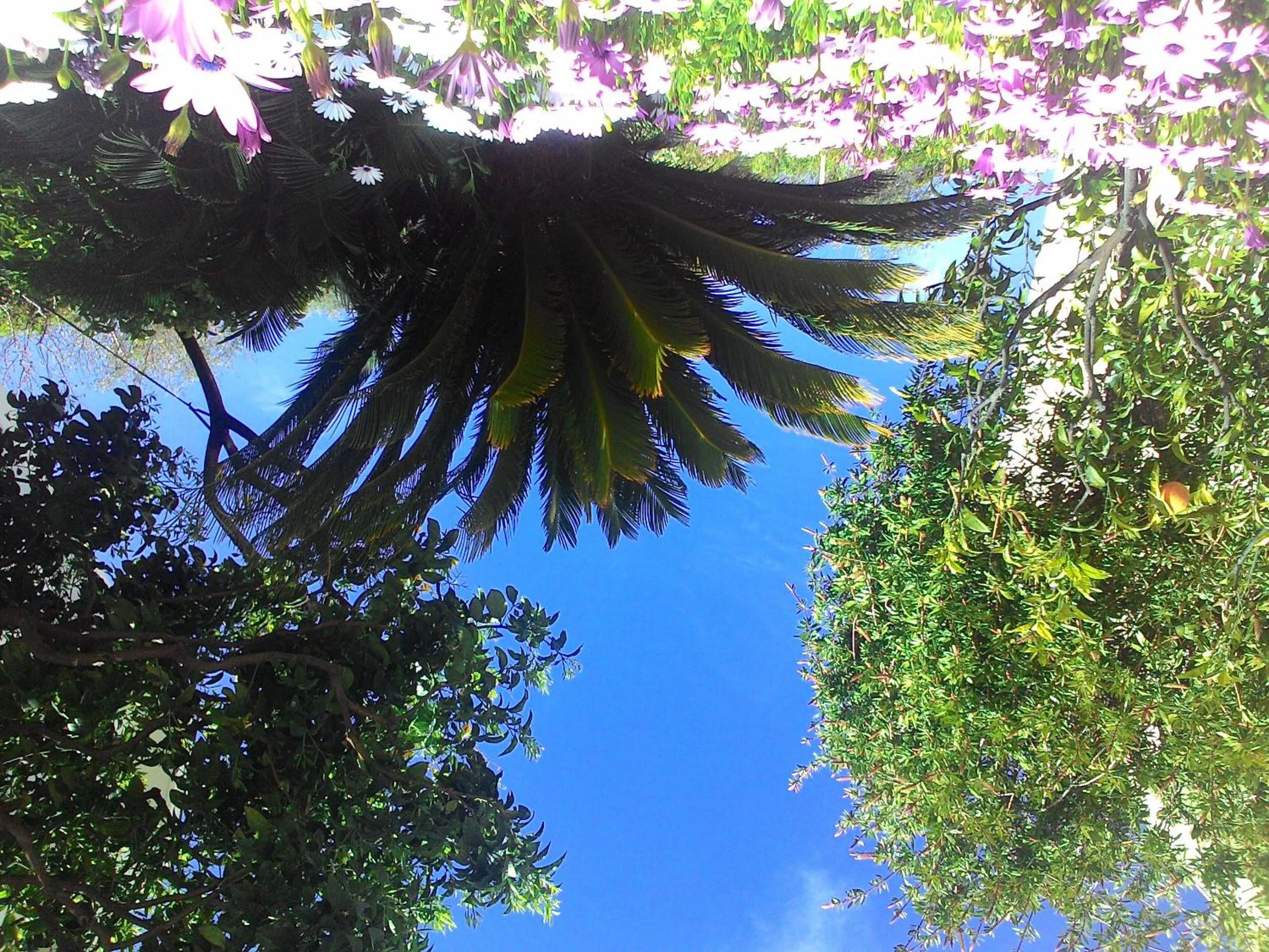 Garden in Residence La Carruba