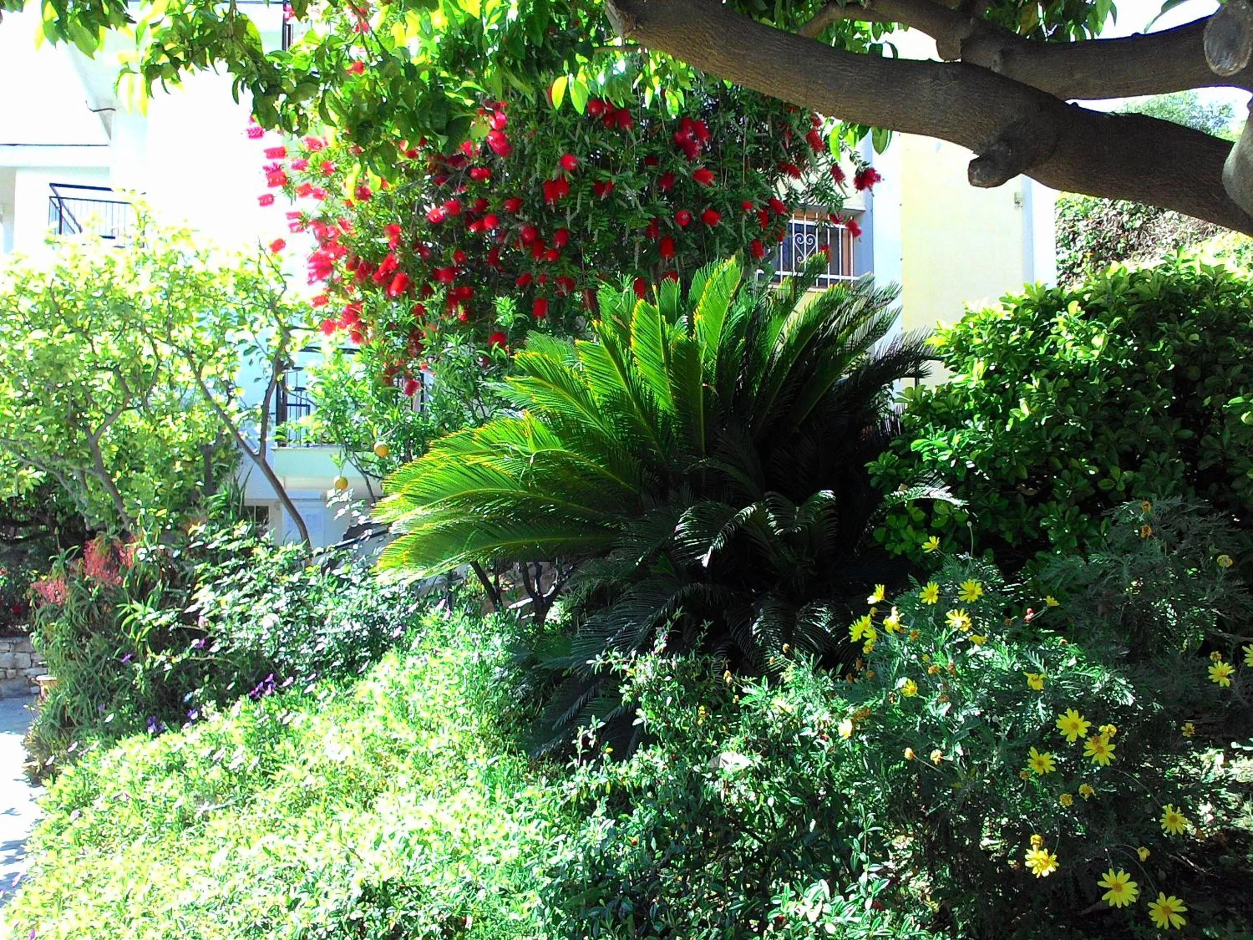 Property building in Residence La Carruba