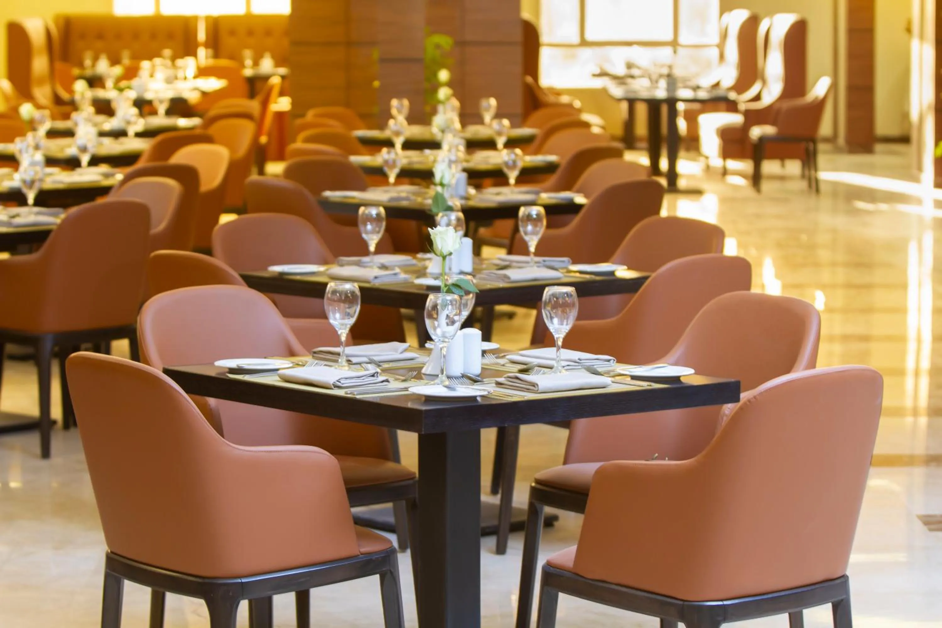 Restaurant/places to eat in Cloud City Hotel