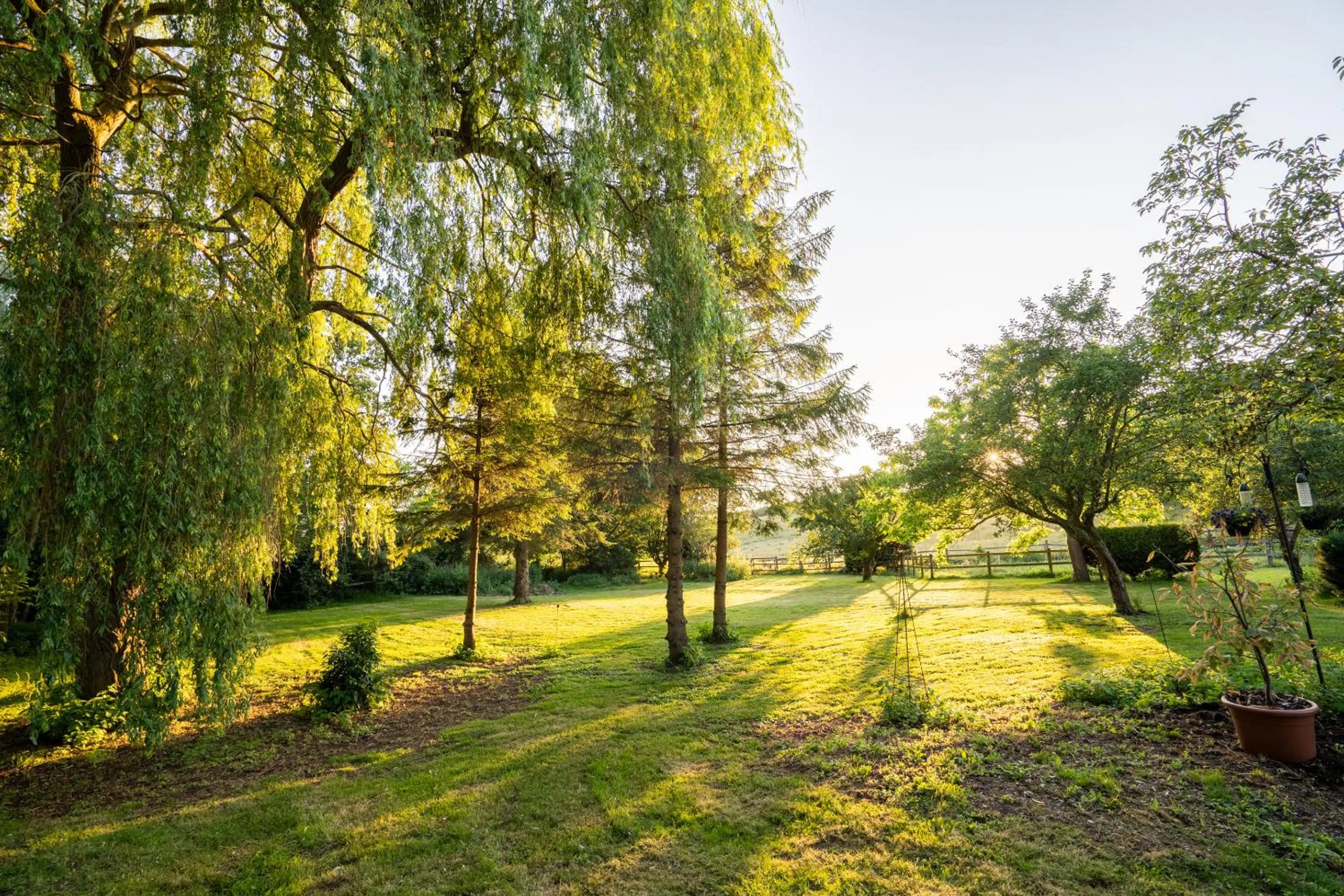 Other in The Dove Inn