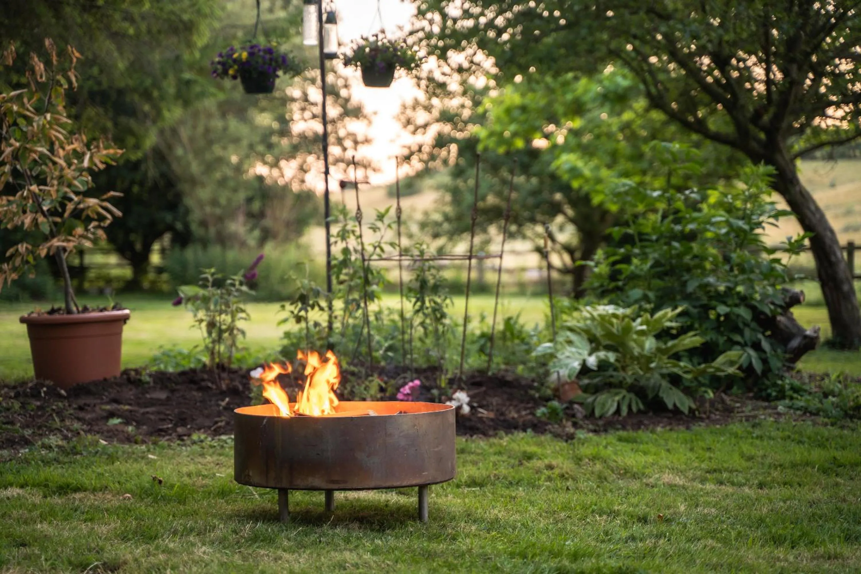 Other in The Dove Inn