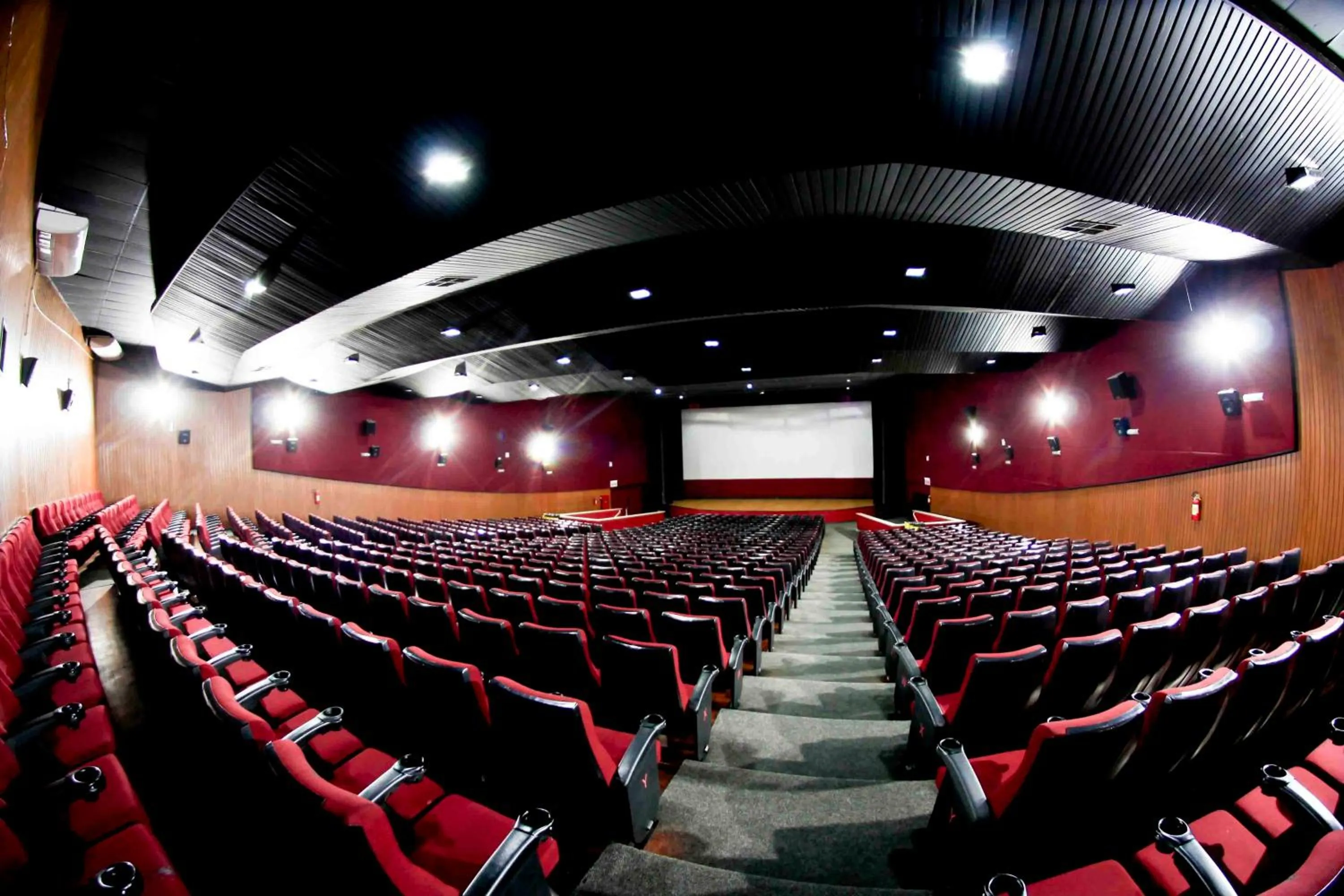 Entertainment in Hotel Emacite Flex