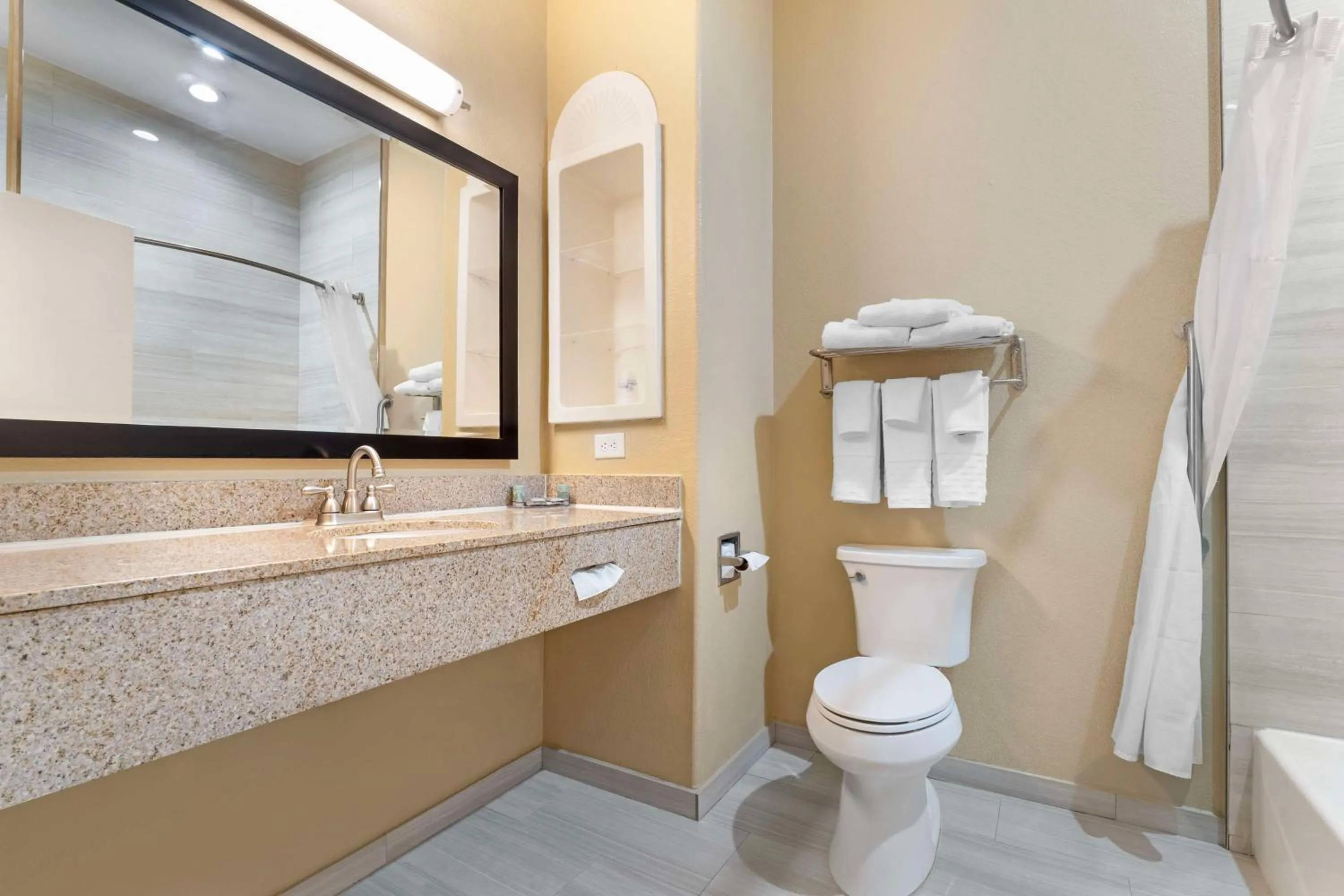 Bathroom in Best Western Hebbronville Inn