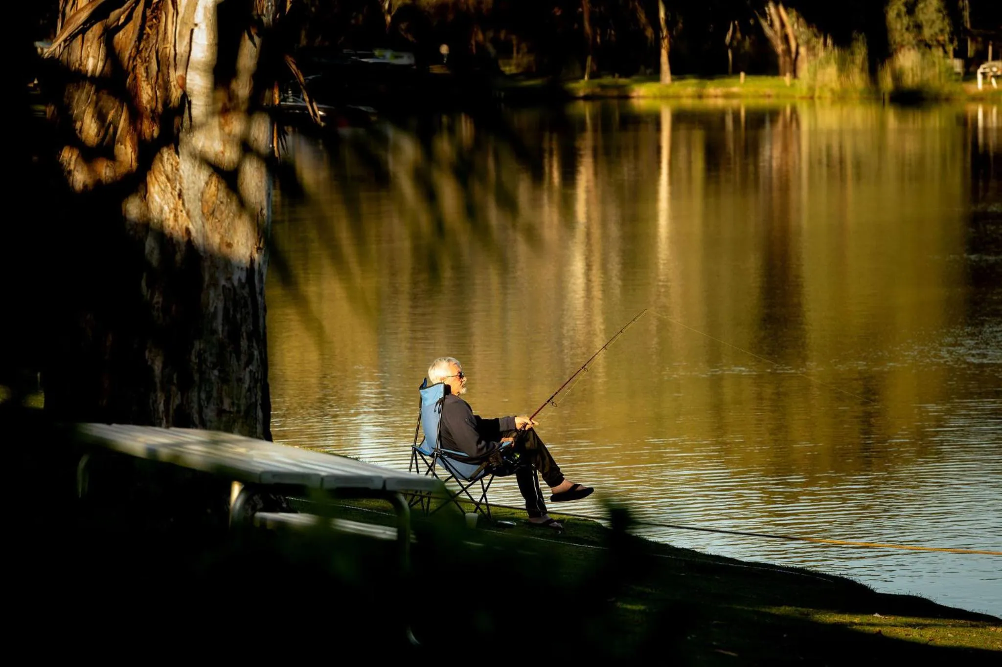 Fishing in Discovery Parks - Renmark Riverfront