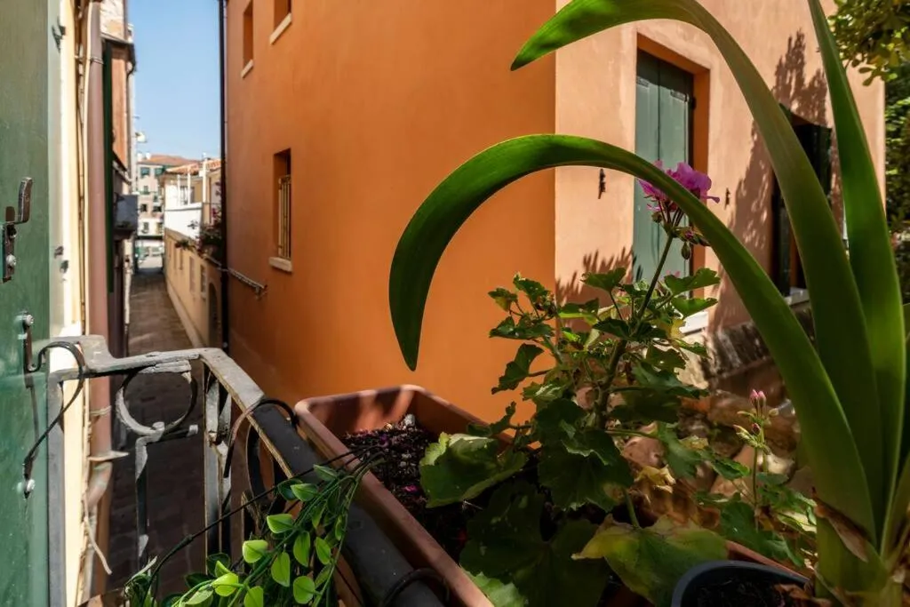 View (from property/room) in Ca' Mandorla 027042loc09523