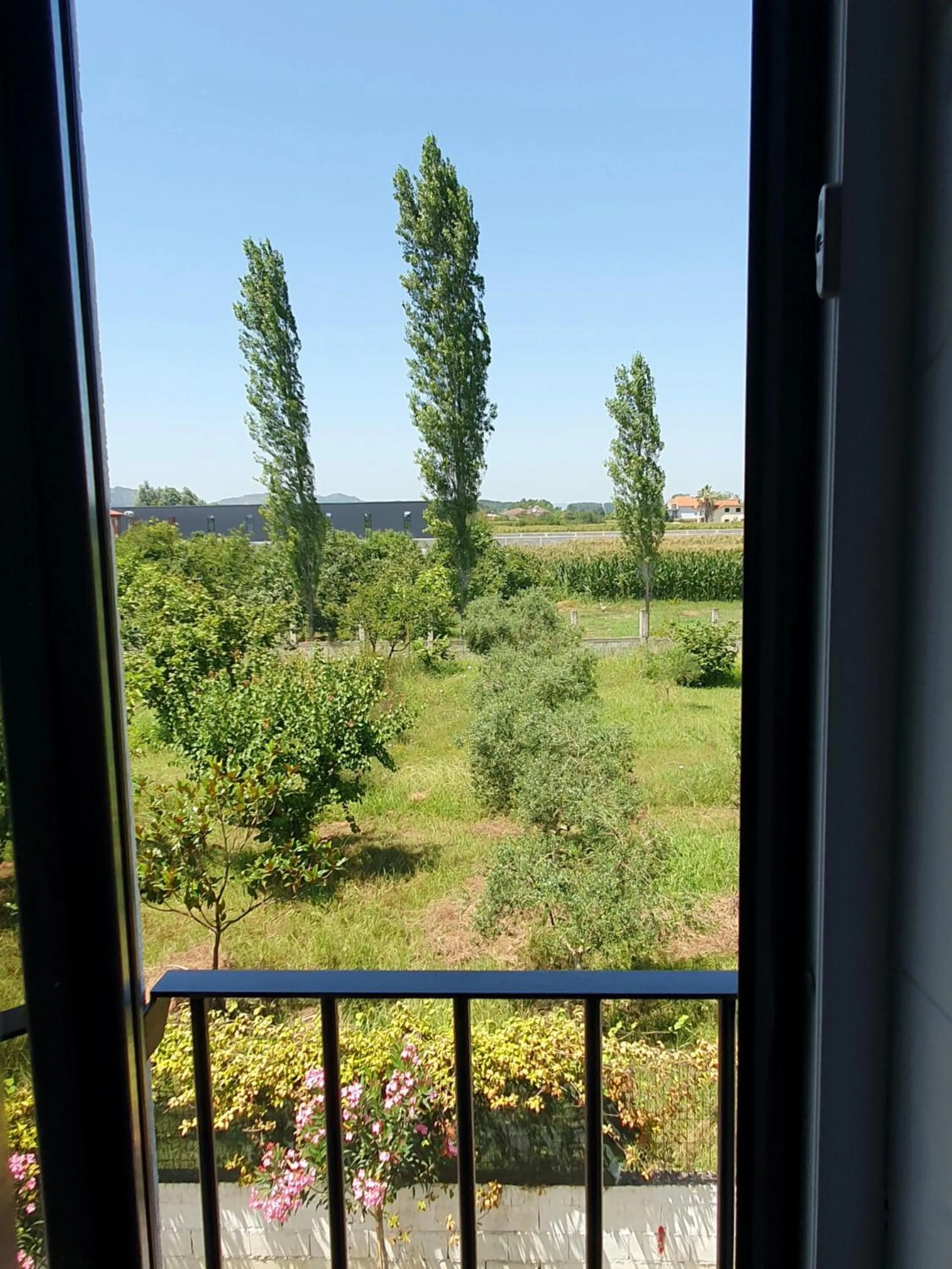 Natural landscape in Nerium Garden Inn Tirana Airport