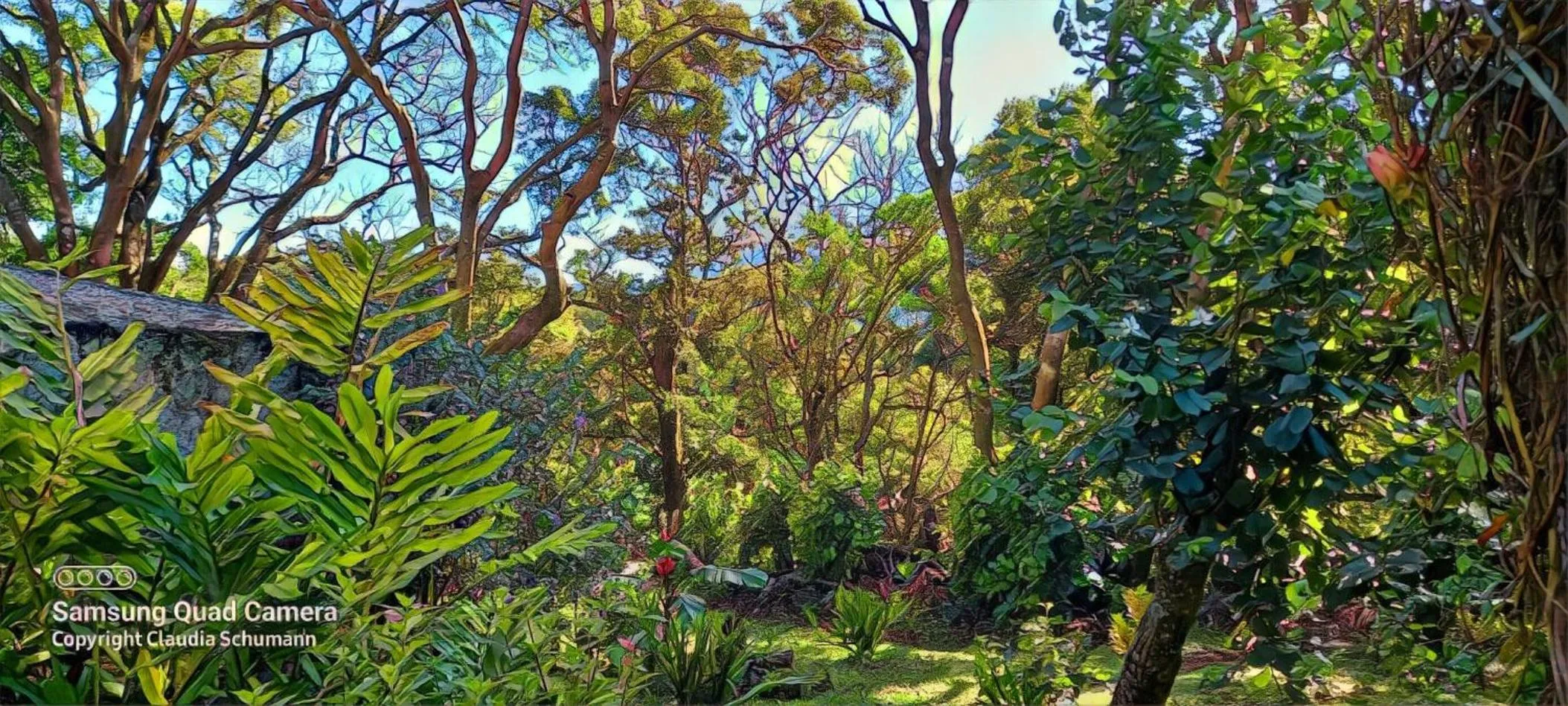 Natural landscape in SCHUMANN'S RESORT & PARK