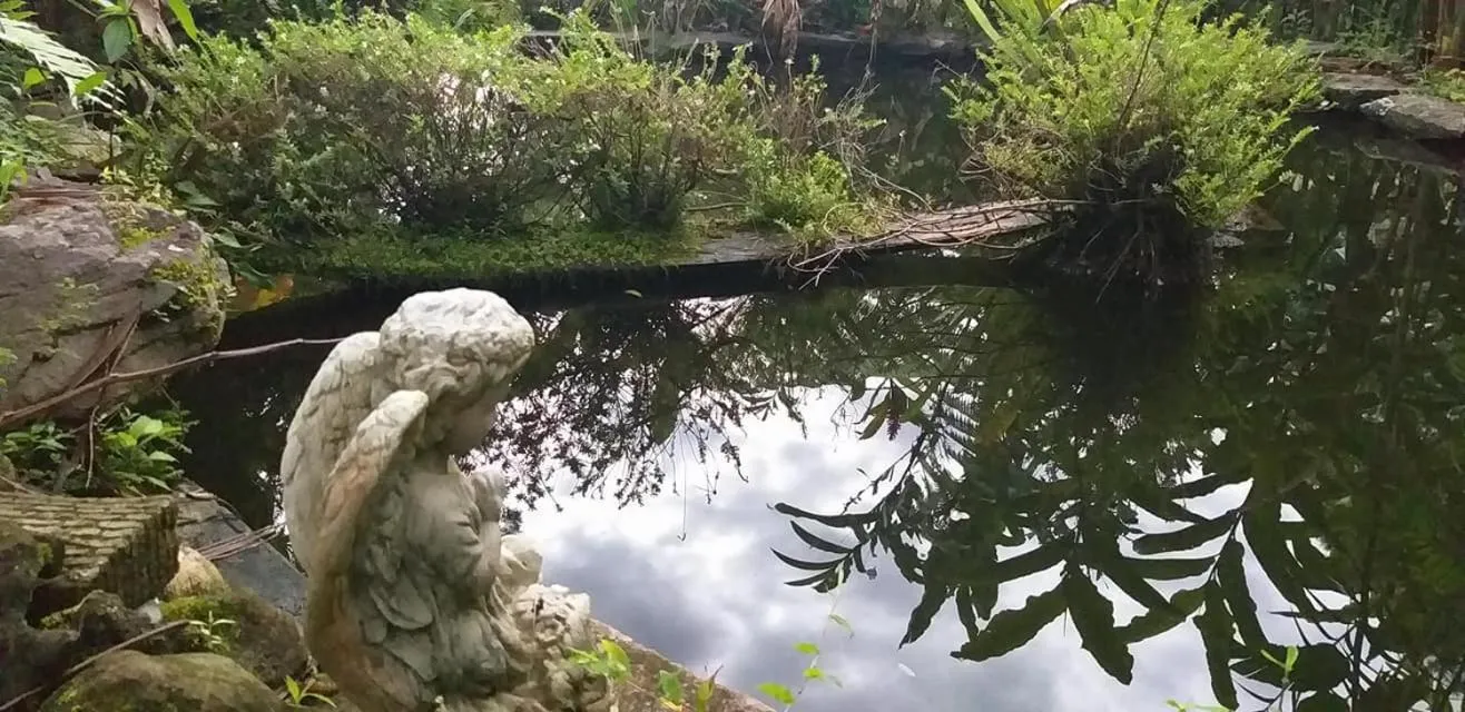 Garden view in SCHUMANN'S RESORT & PARK