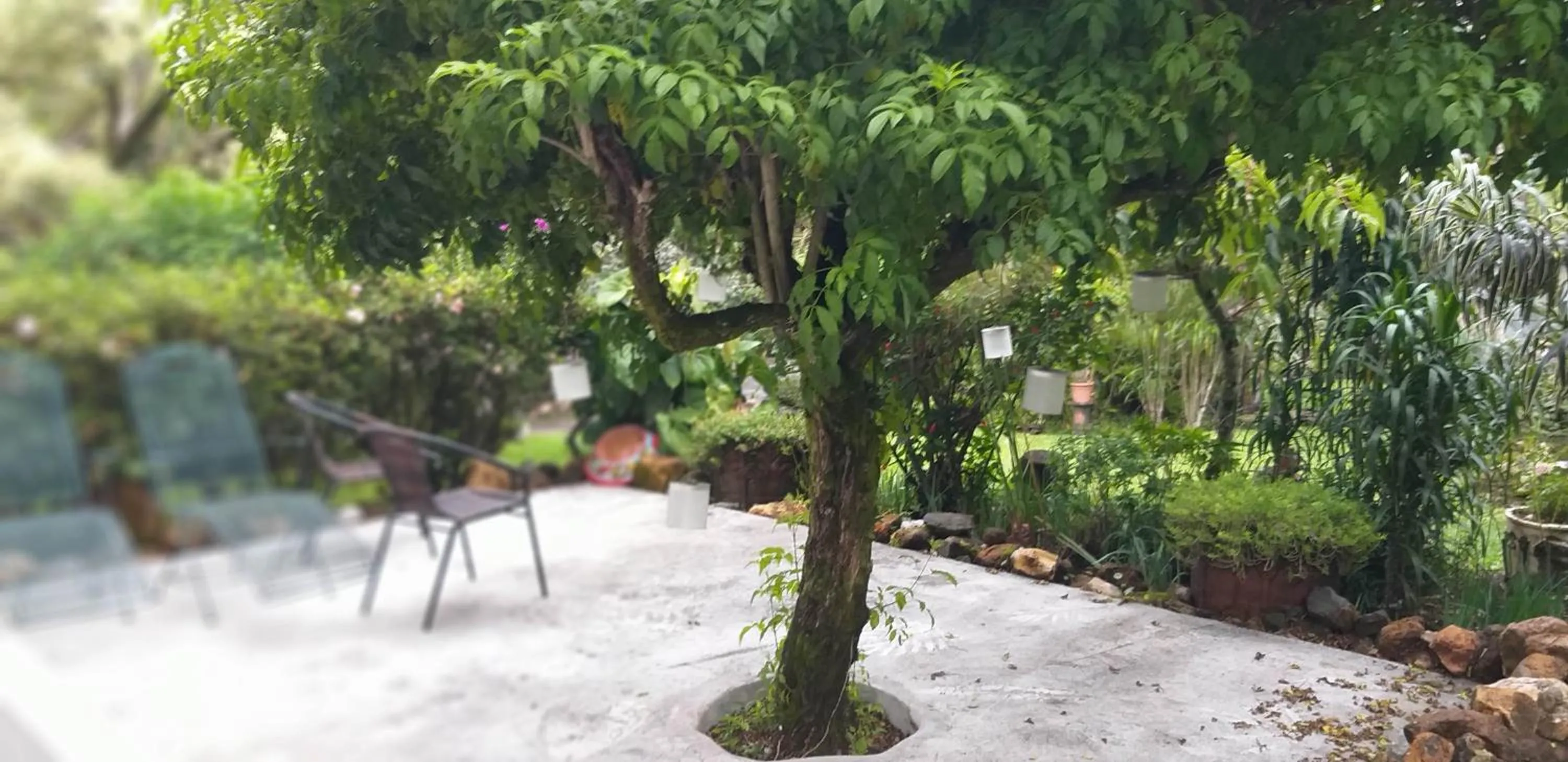 Patio in SCHUMANN'S RESORT & PARK