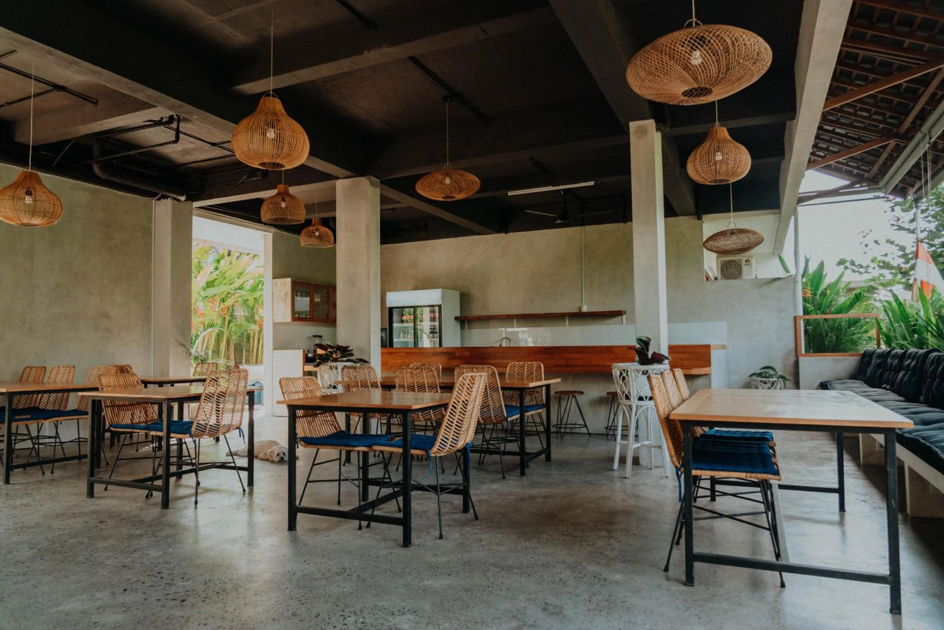Restaurant/places to eat in Sammy's Canggu