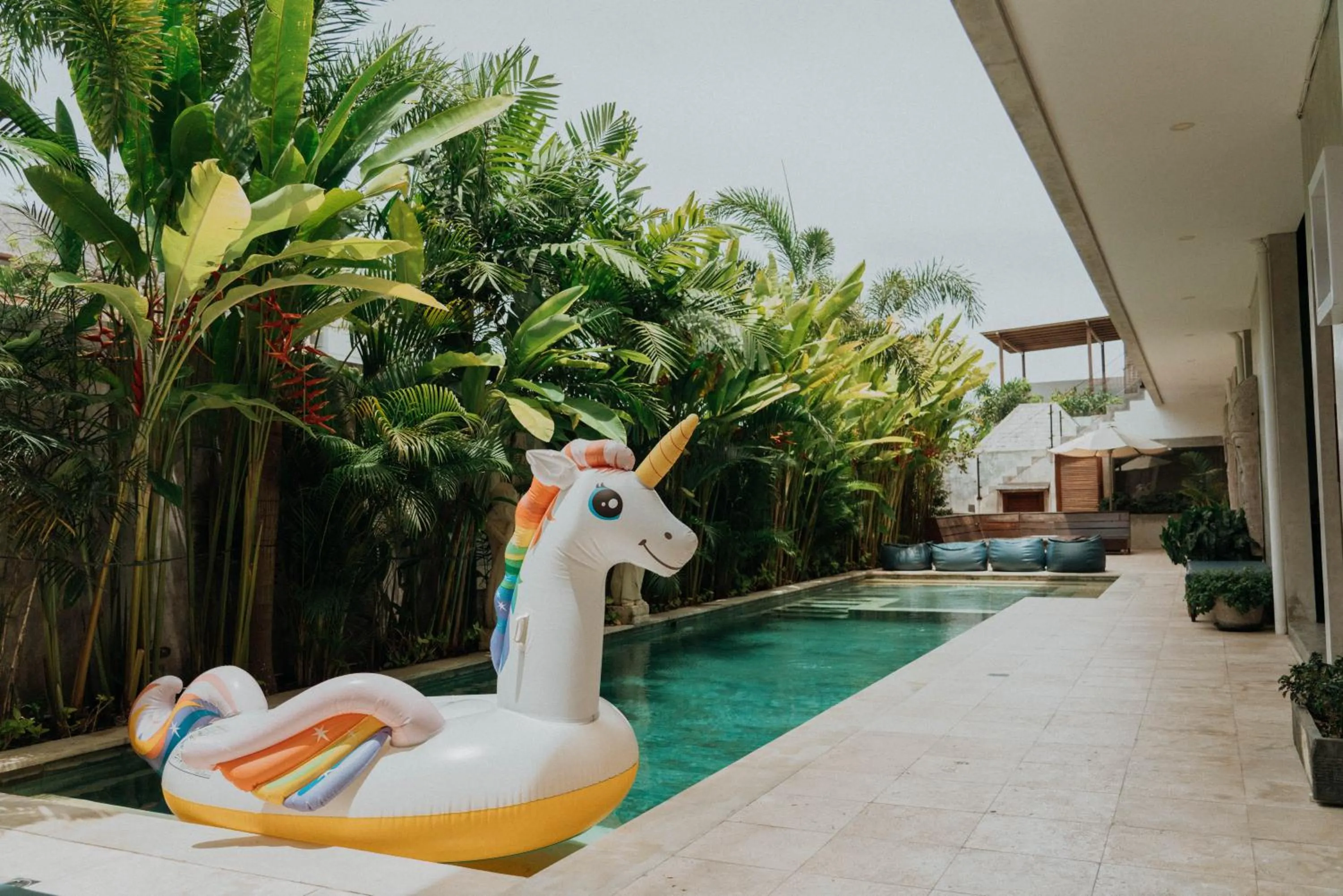 Pool view in Sammy's Canggu