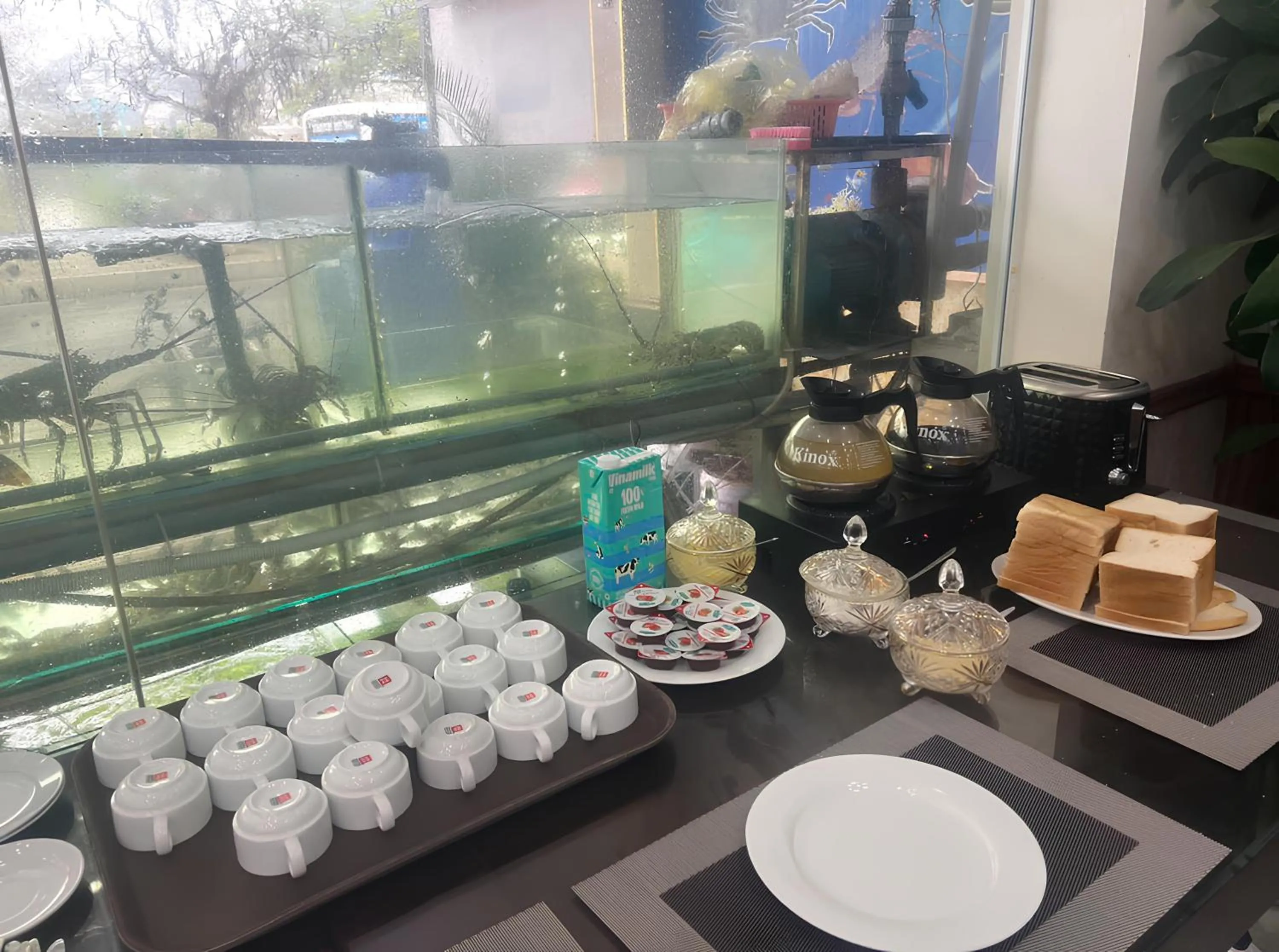 Breakfast in Lang Chai Metrpolis Cat Ba Hotel and Restaurant