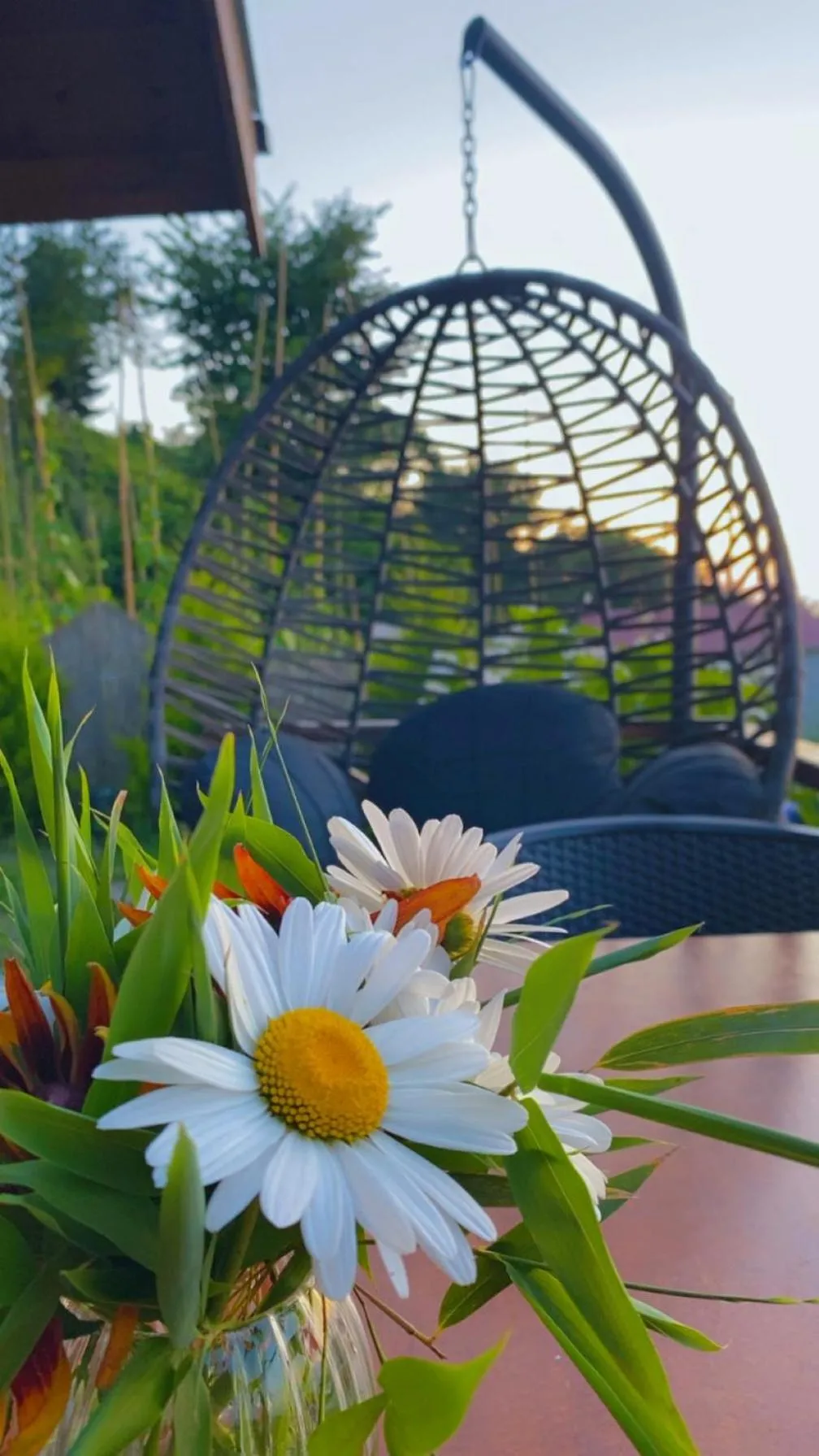 Lavinya Suit Bungalov