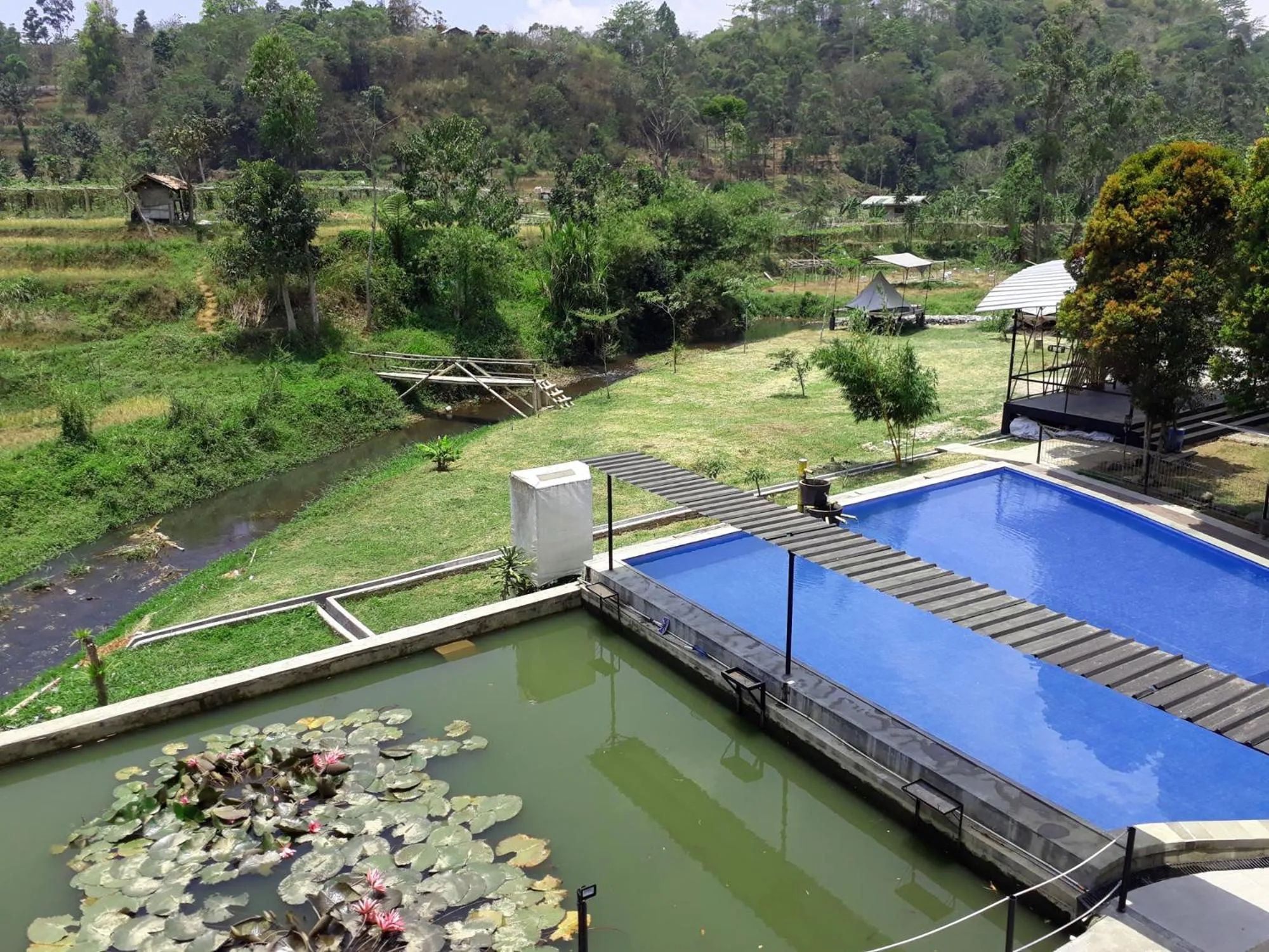 Garden in Shine River