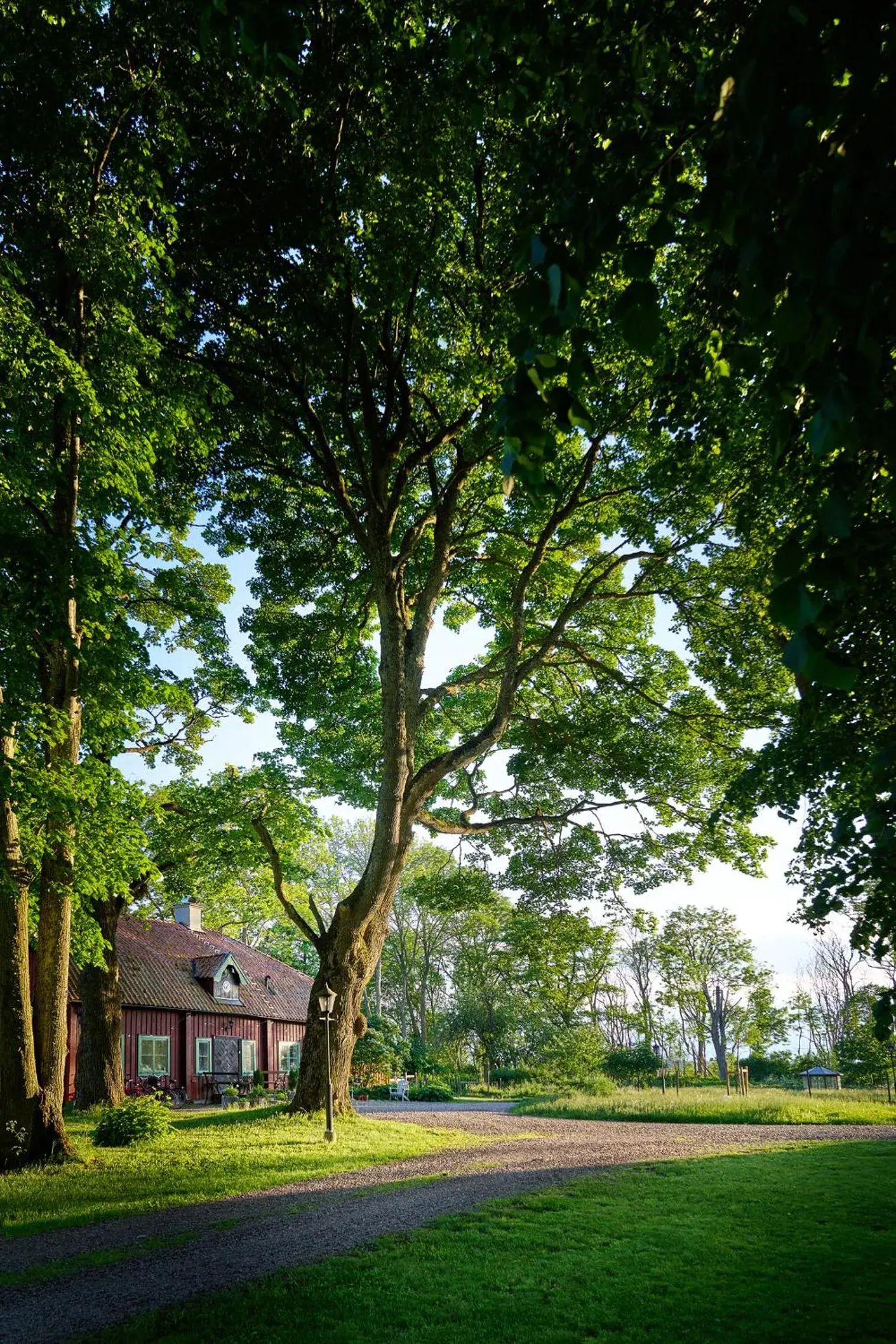 Double Room with Private External Bathroom - single occupancy in Kungs Starby Gård Bed and Breakfast Double Room with Private External Bathroom - single occupancy in Kungs Starby Gård Bed and Breakfast