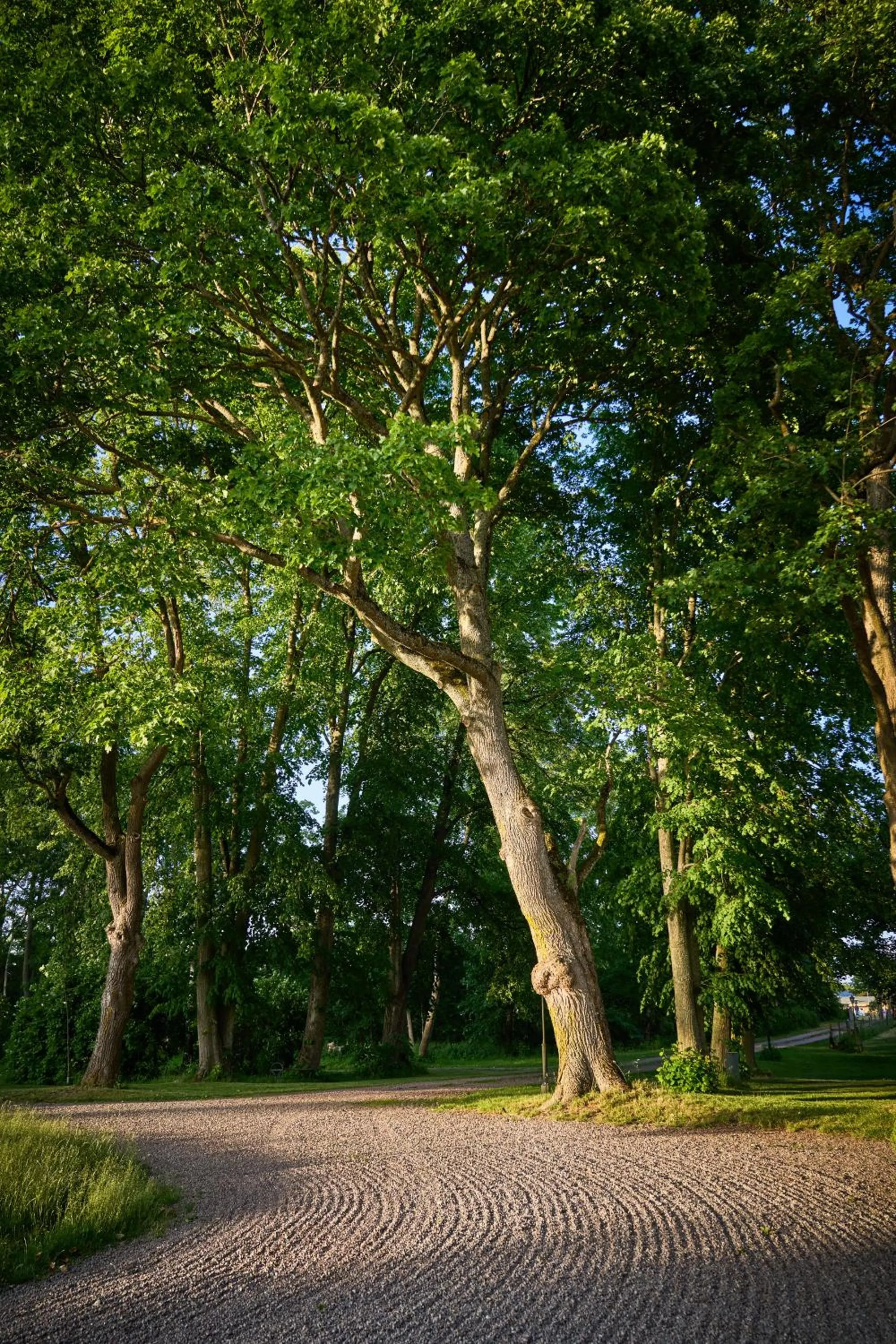 Spring in Kungs Starby Gård Bed and Breakfast