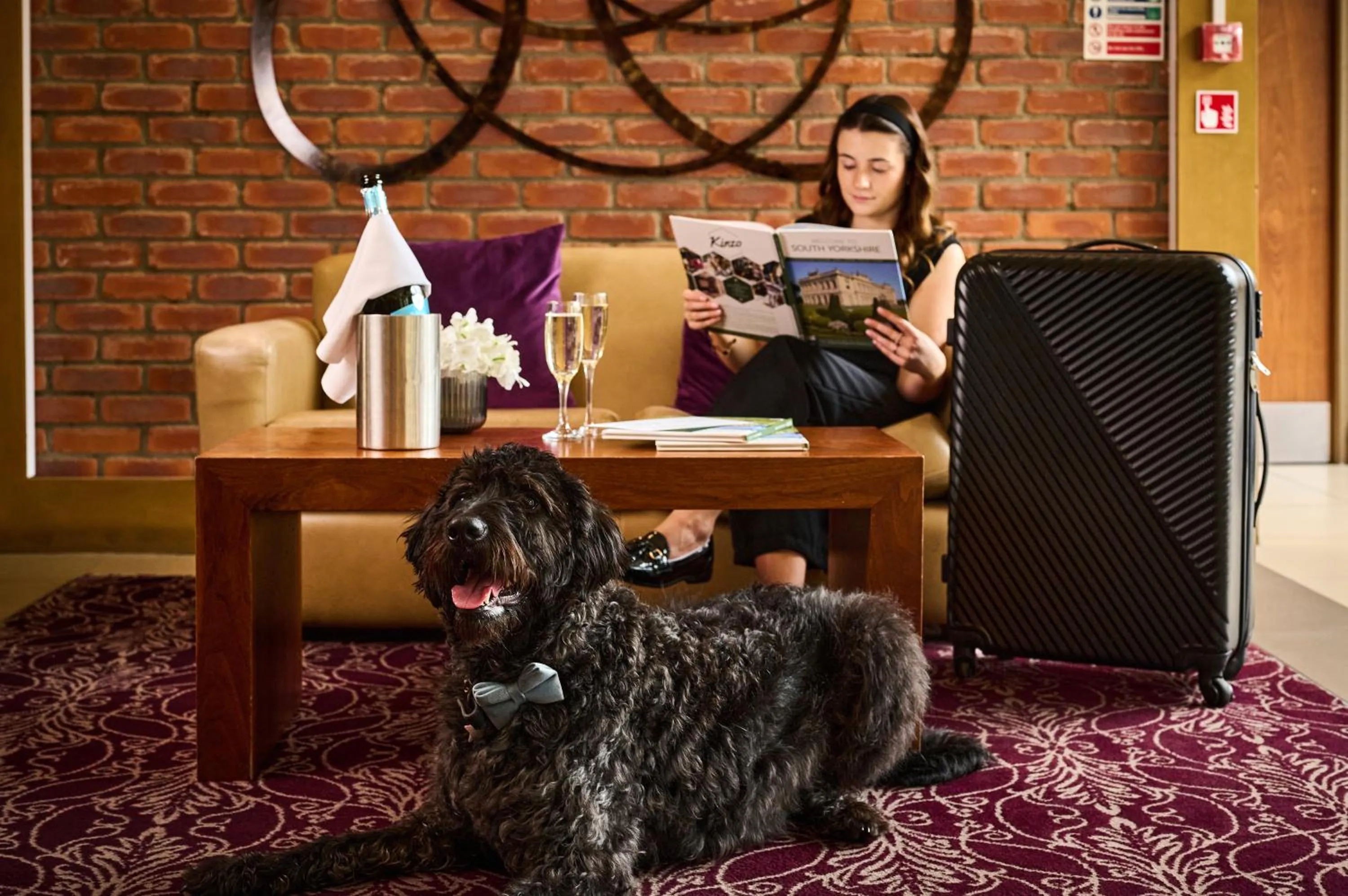 Pets in The Rutland Hotel