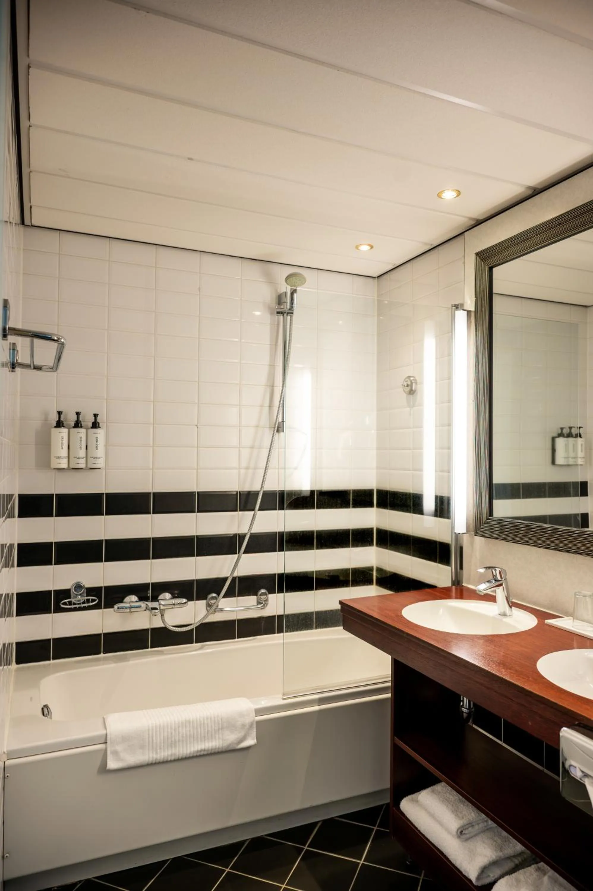 Crowne Plaza Maastricht by IHG