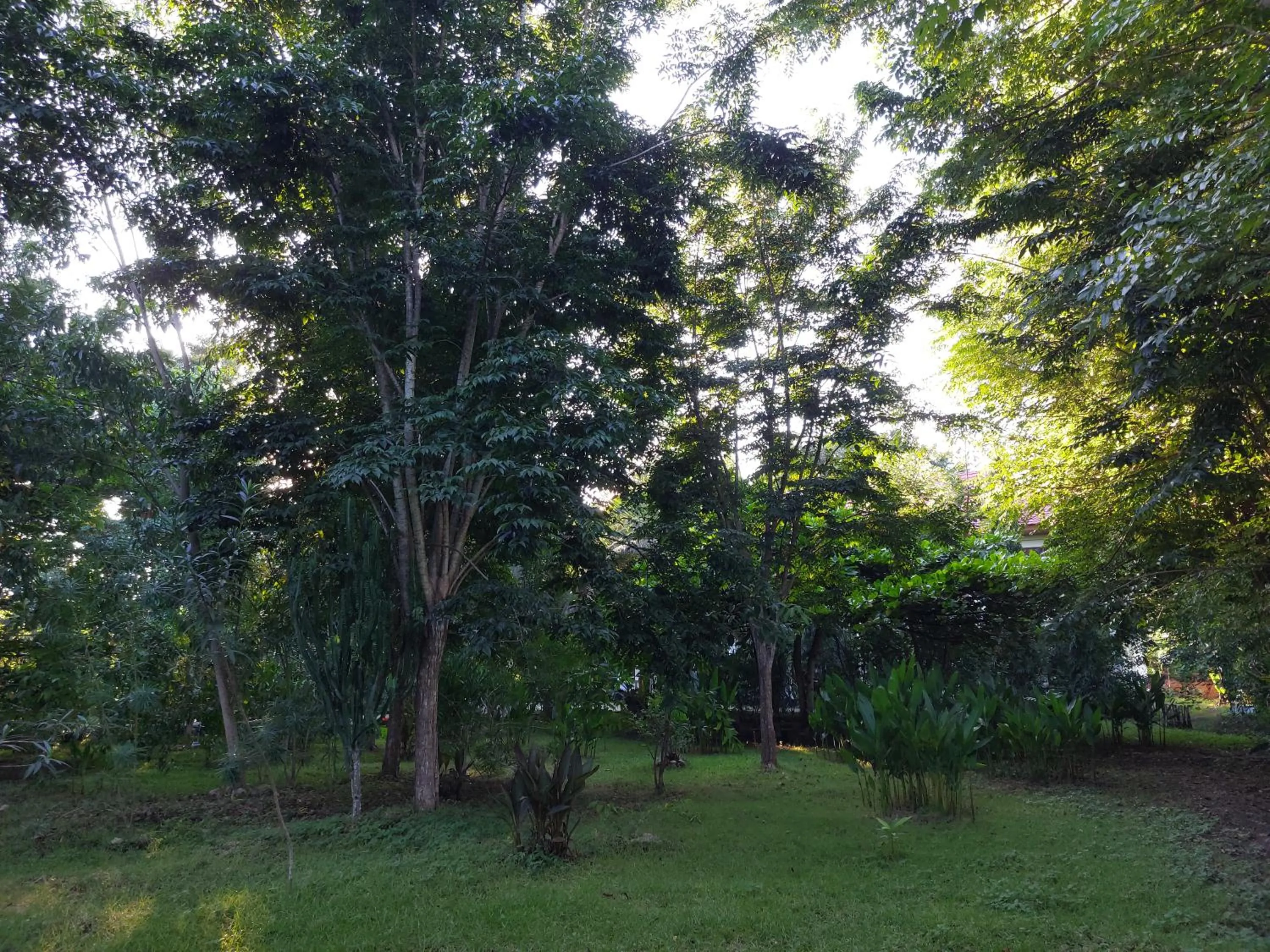 Garden in Hôtel La Belle Etoile