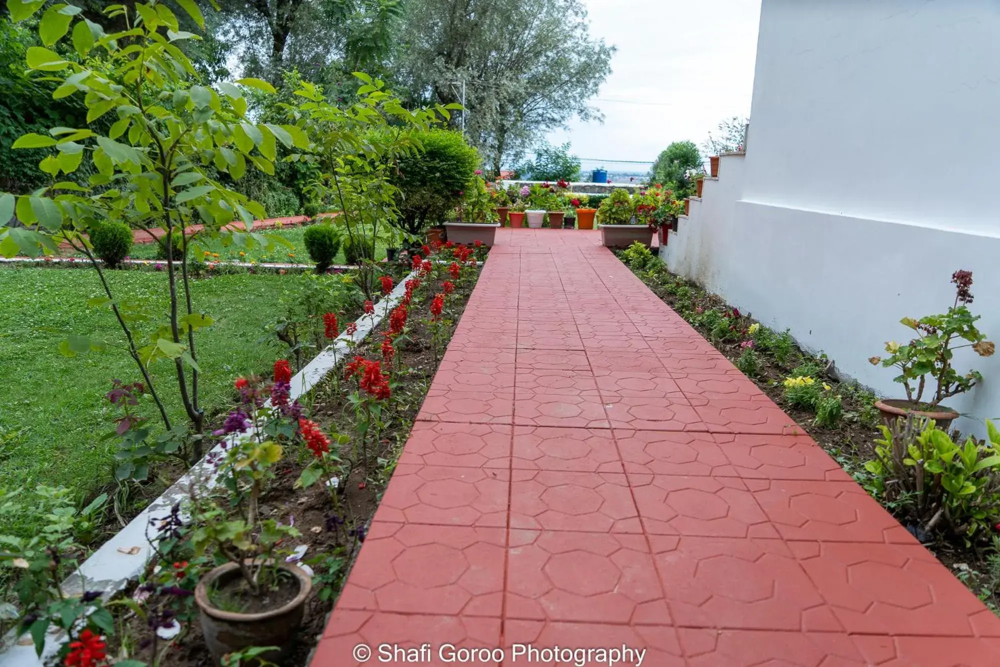 Garden view in Orania Garden view in Orania