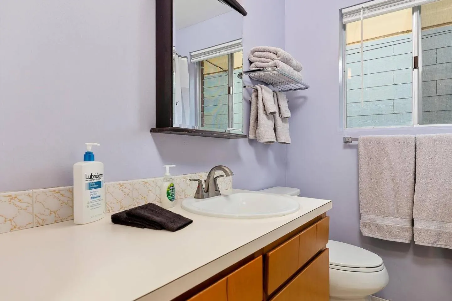 Toilet in The Brick House, Kellogg ID