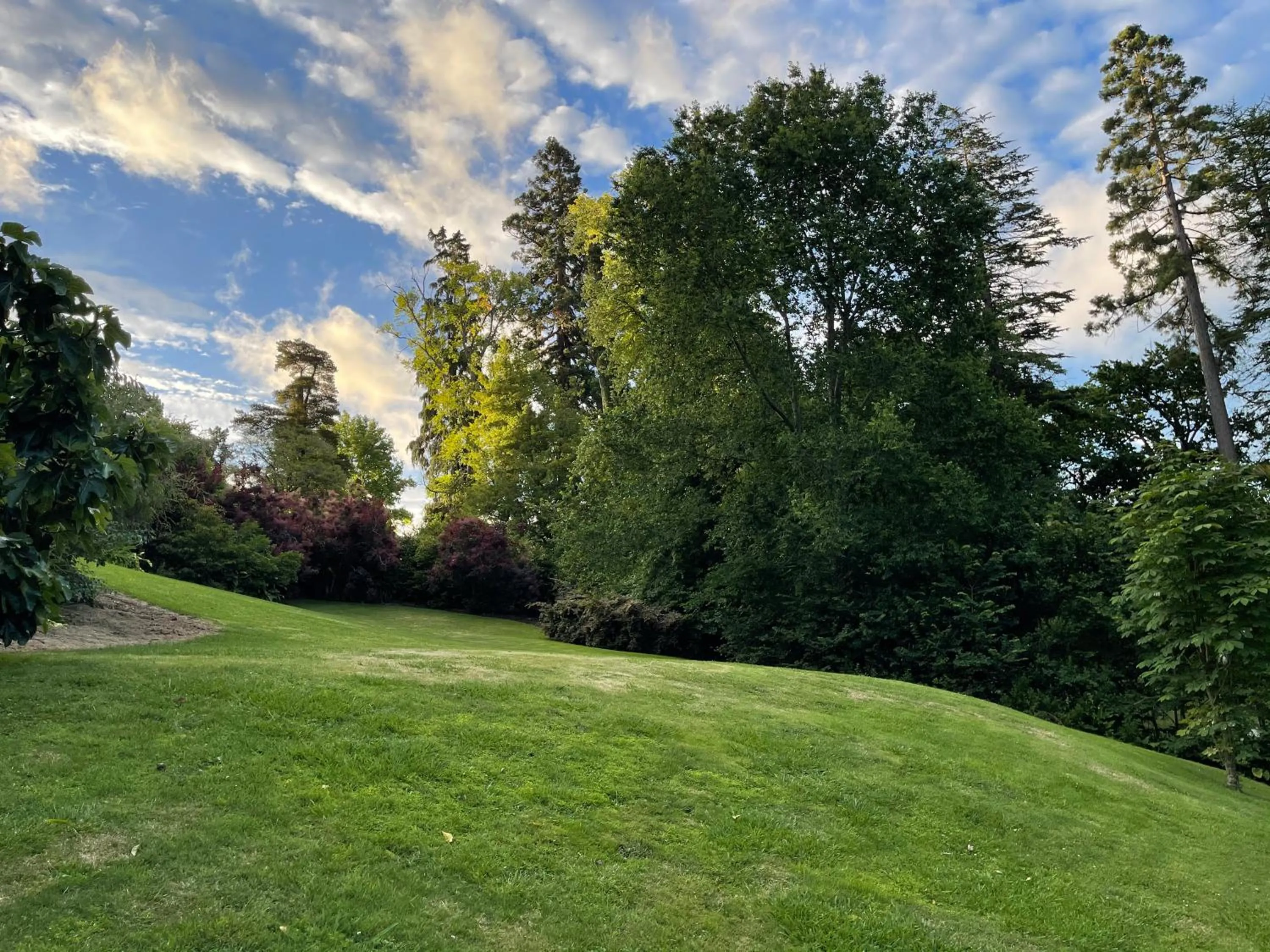 Garden in Pihopa Retreat