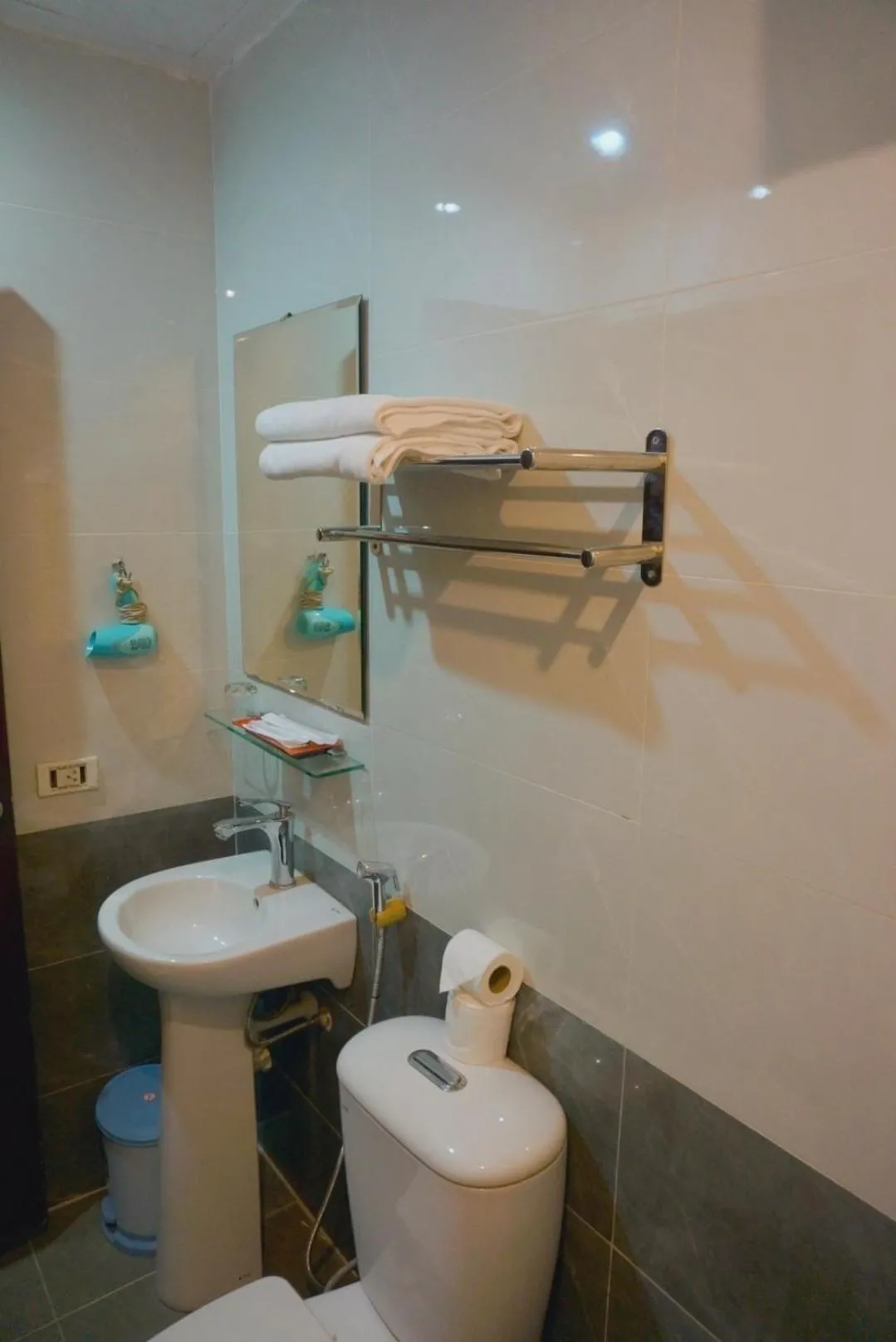 Toilet in Rising Dragon Hotel