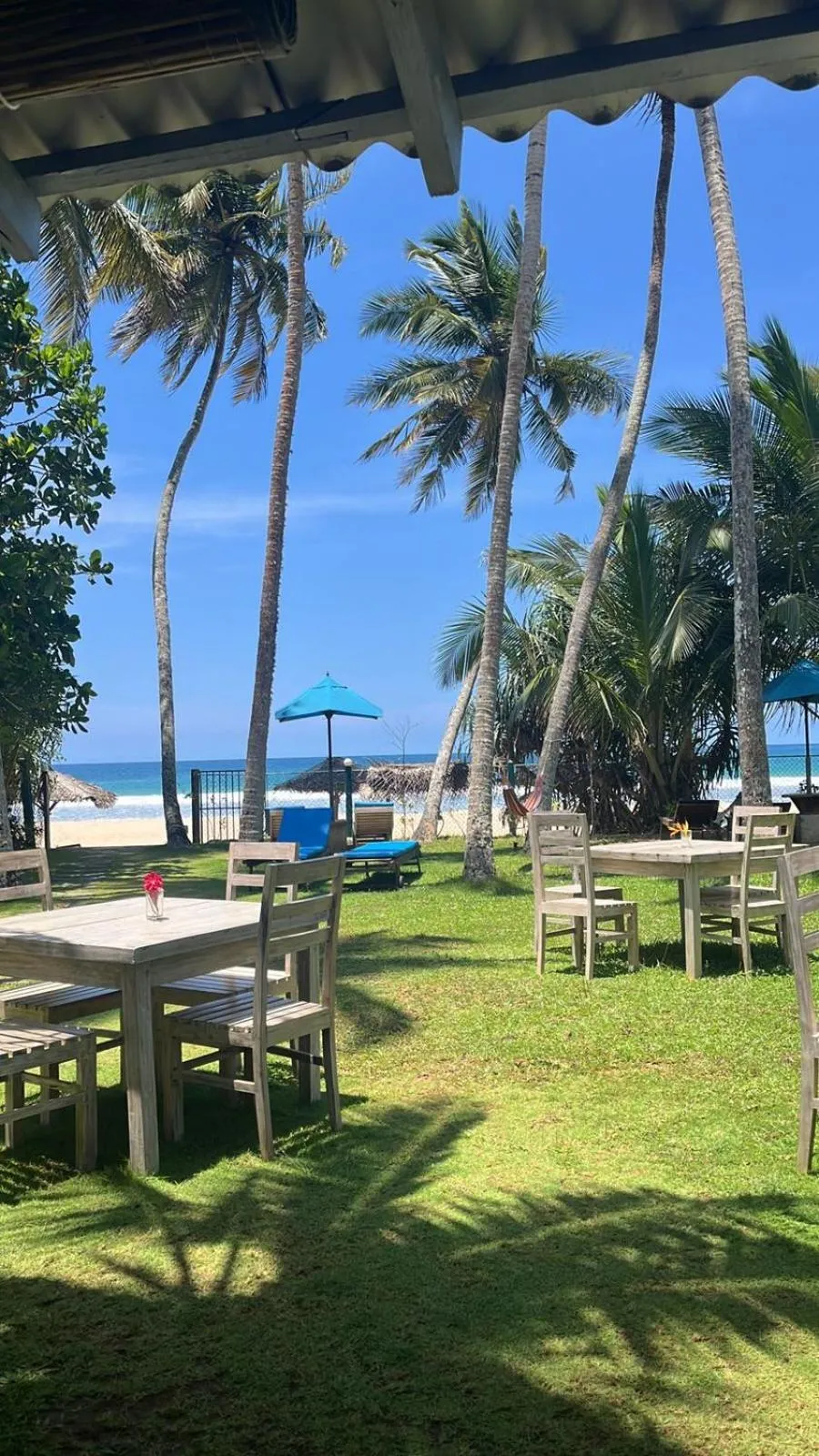 Garden in Esperanza Beach Mawella