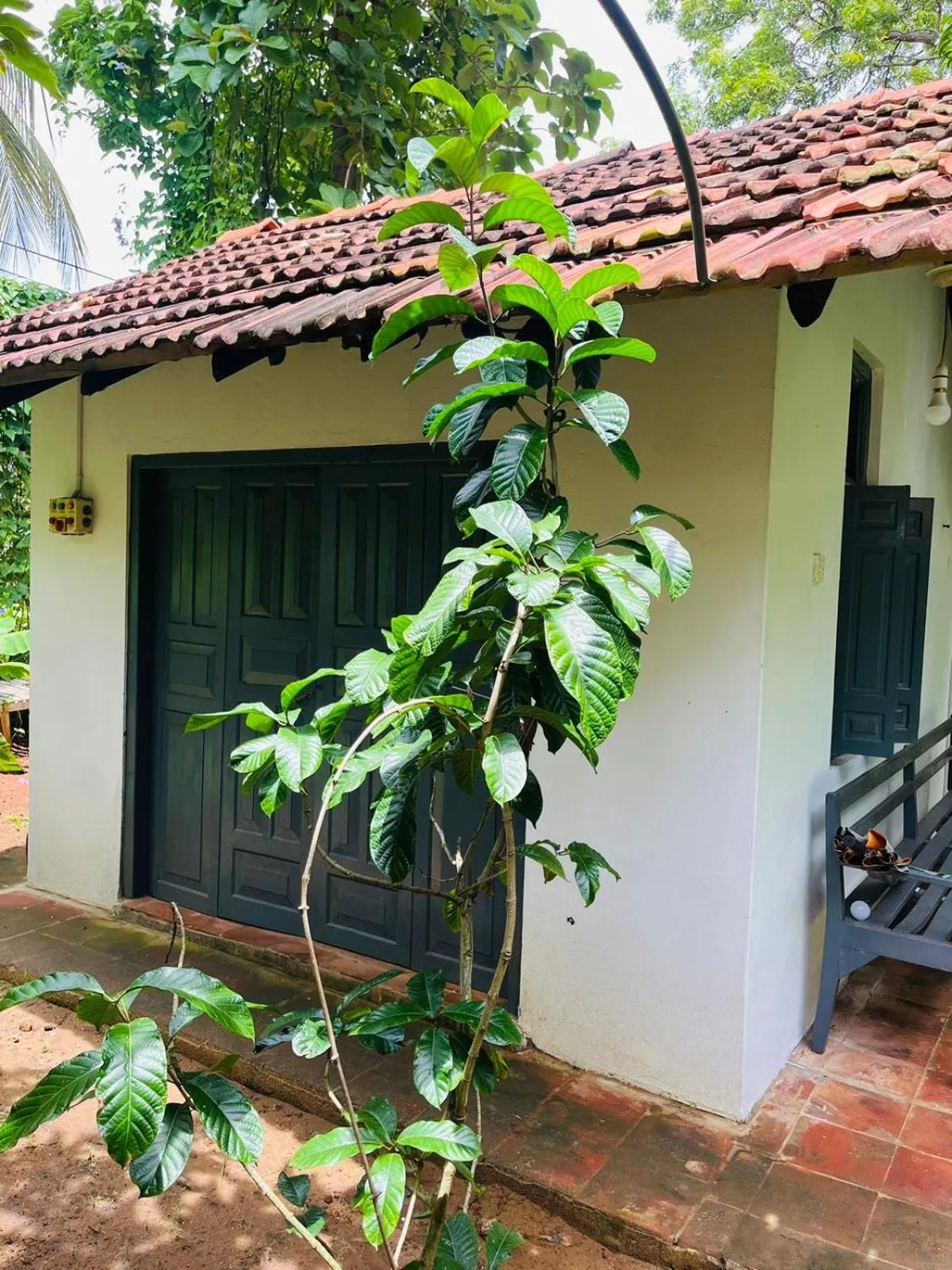 Other in Esperanza Beach Mawella