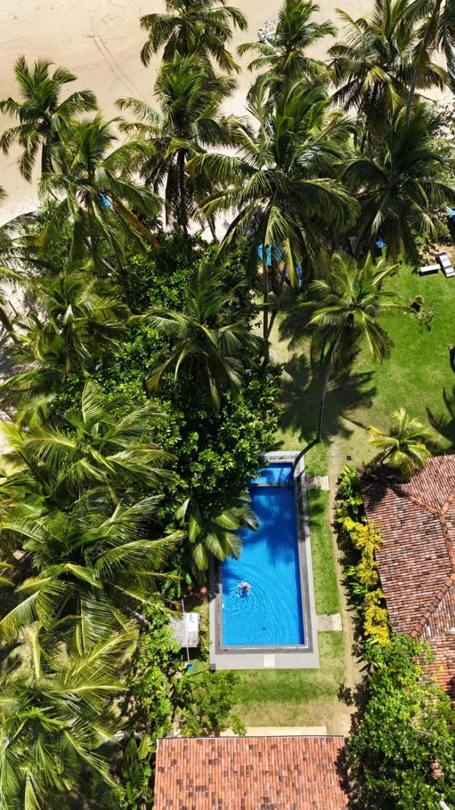 Bird's eye view in Esperanza Beach Mawella