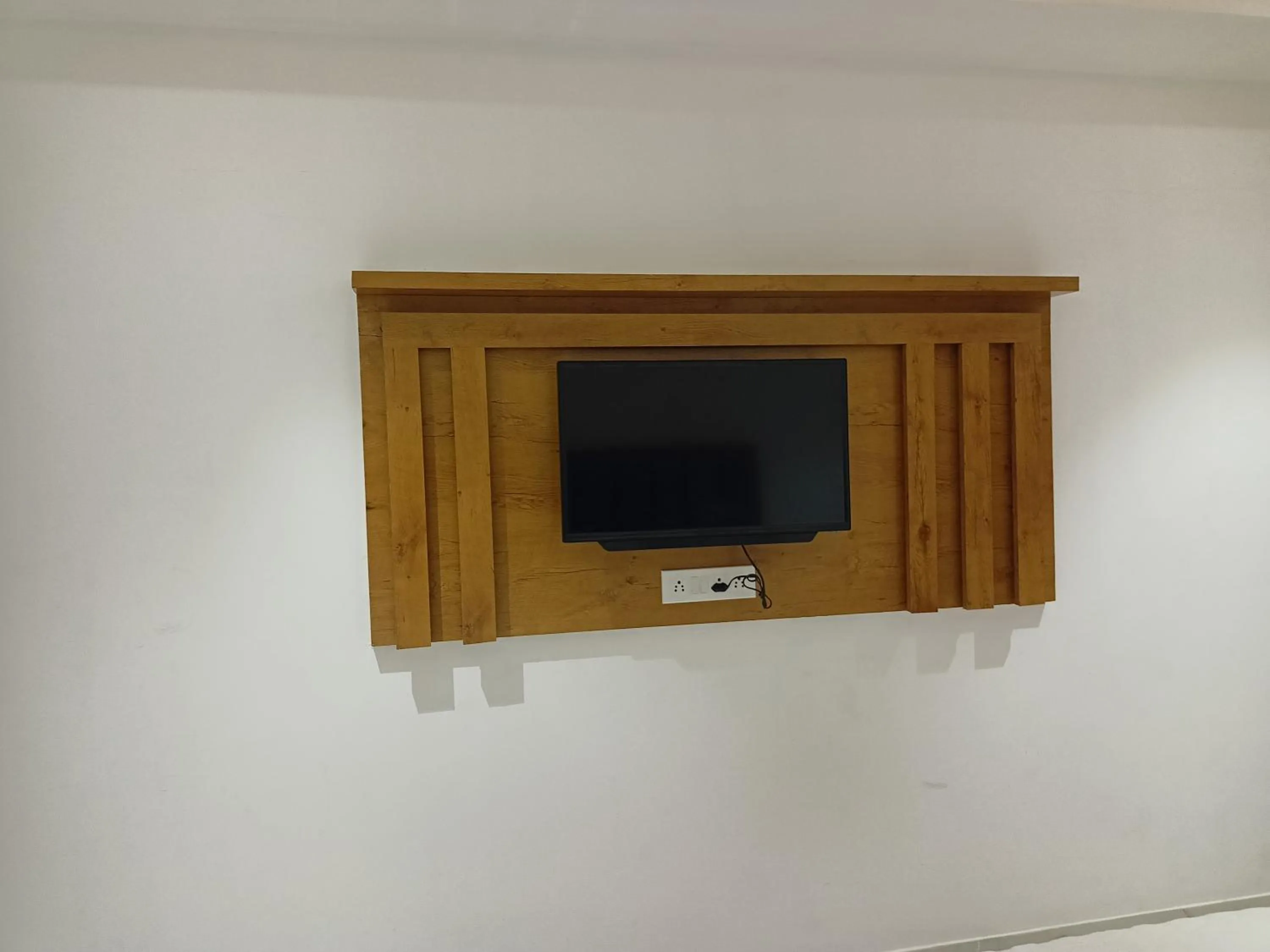 TV and multimedia in Hotel Palms Residency, Chembur Mumbai