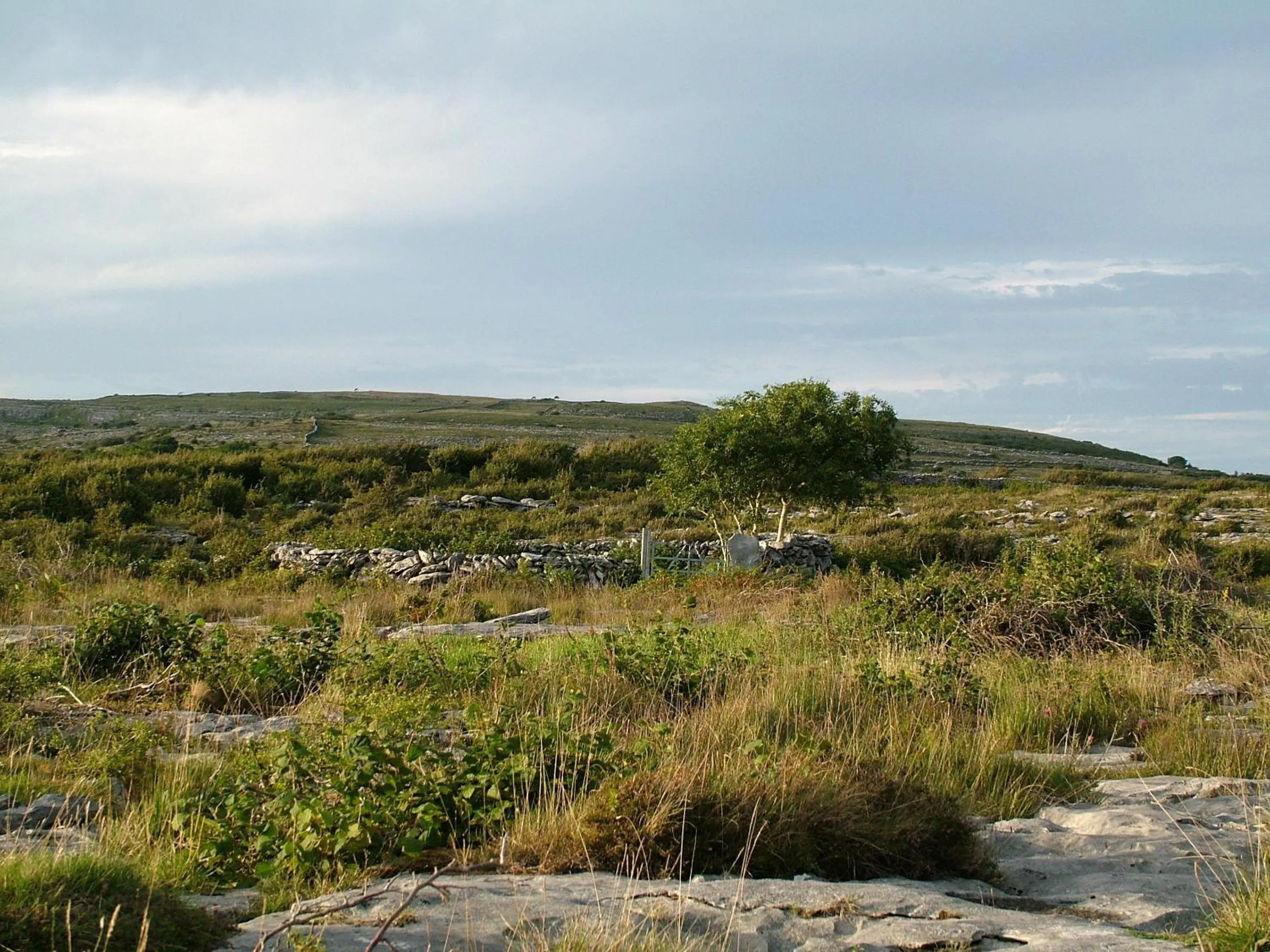 Hiking in Station House Bed & Breakfast