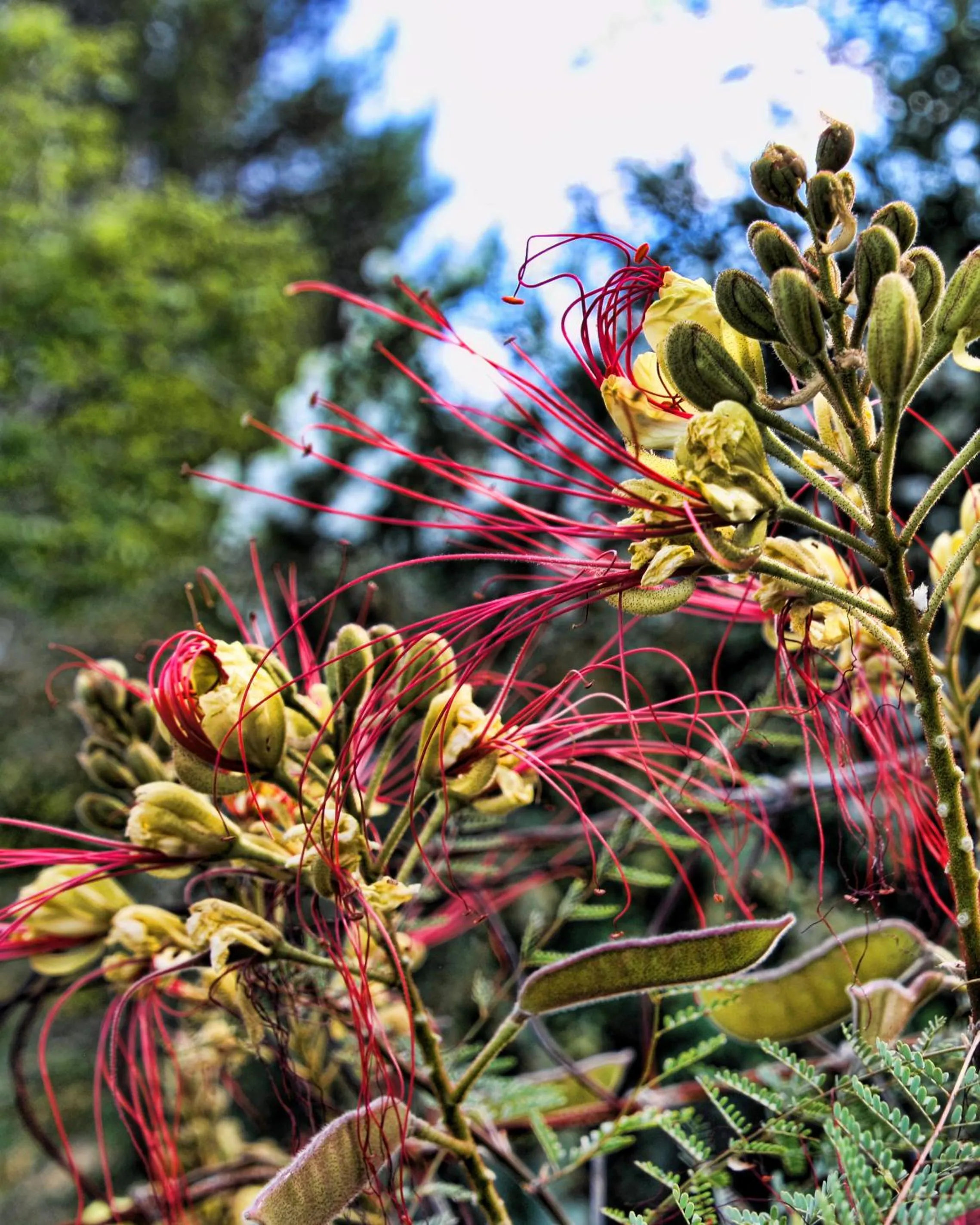 Natural landscape in My Place Suites