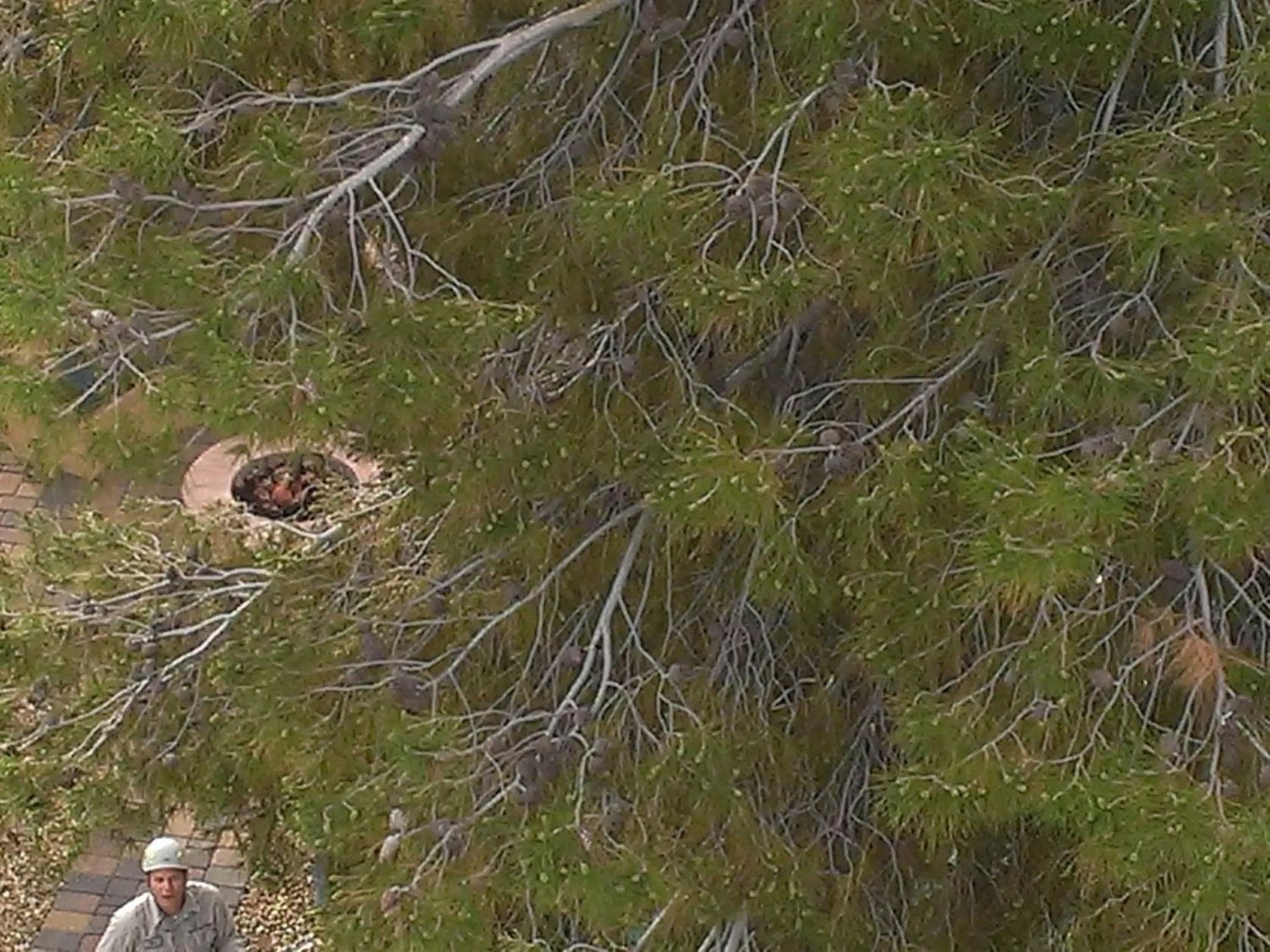 Bird's eye view in My Place Suites