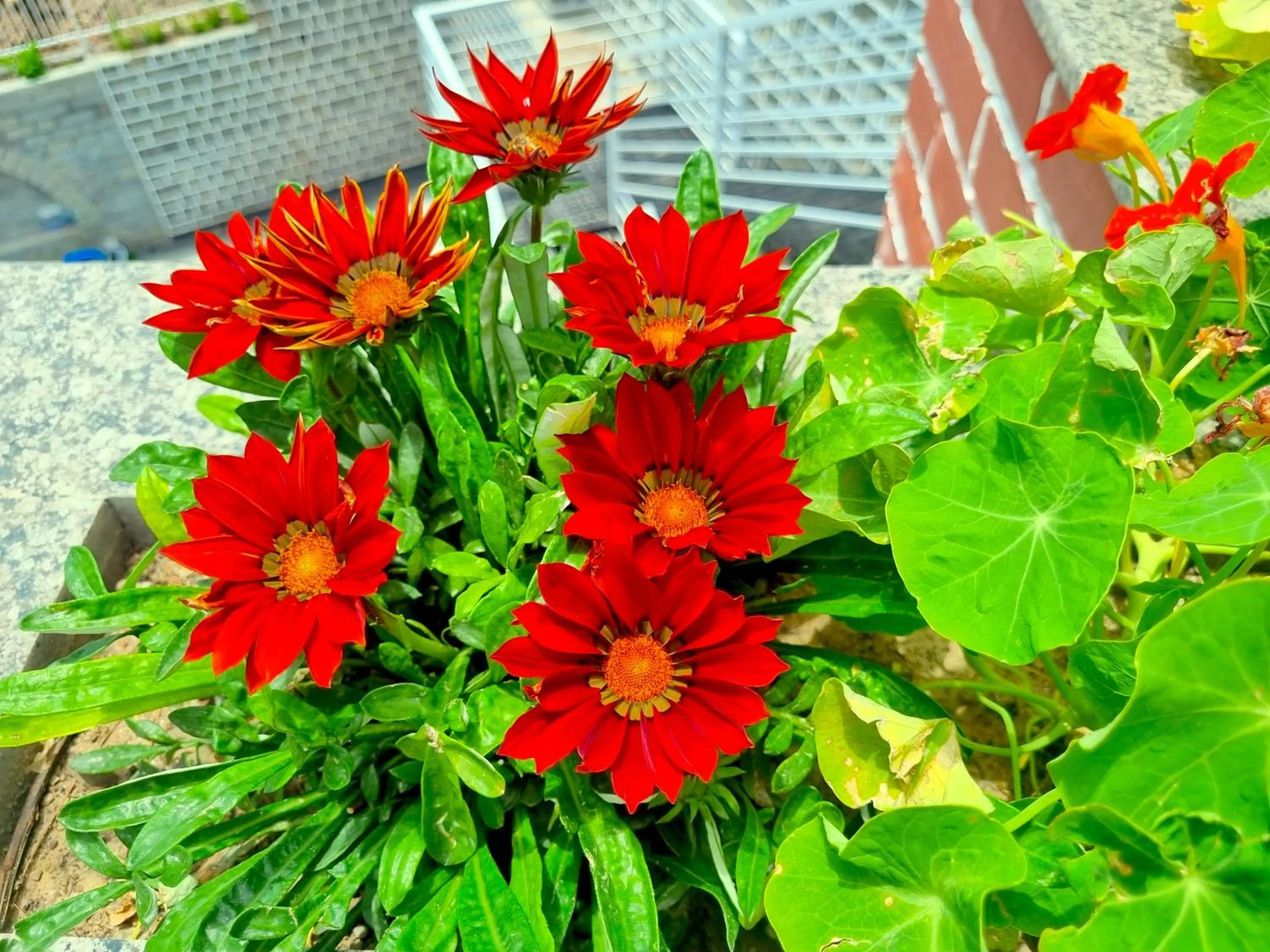 Property building in Hotel Wood Stock Luxury - A Boutique Property - Penthouse - Open Air Restaurant & Terrace