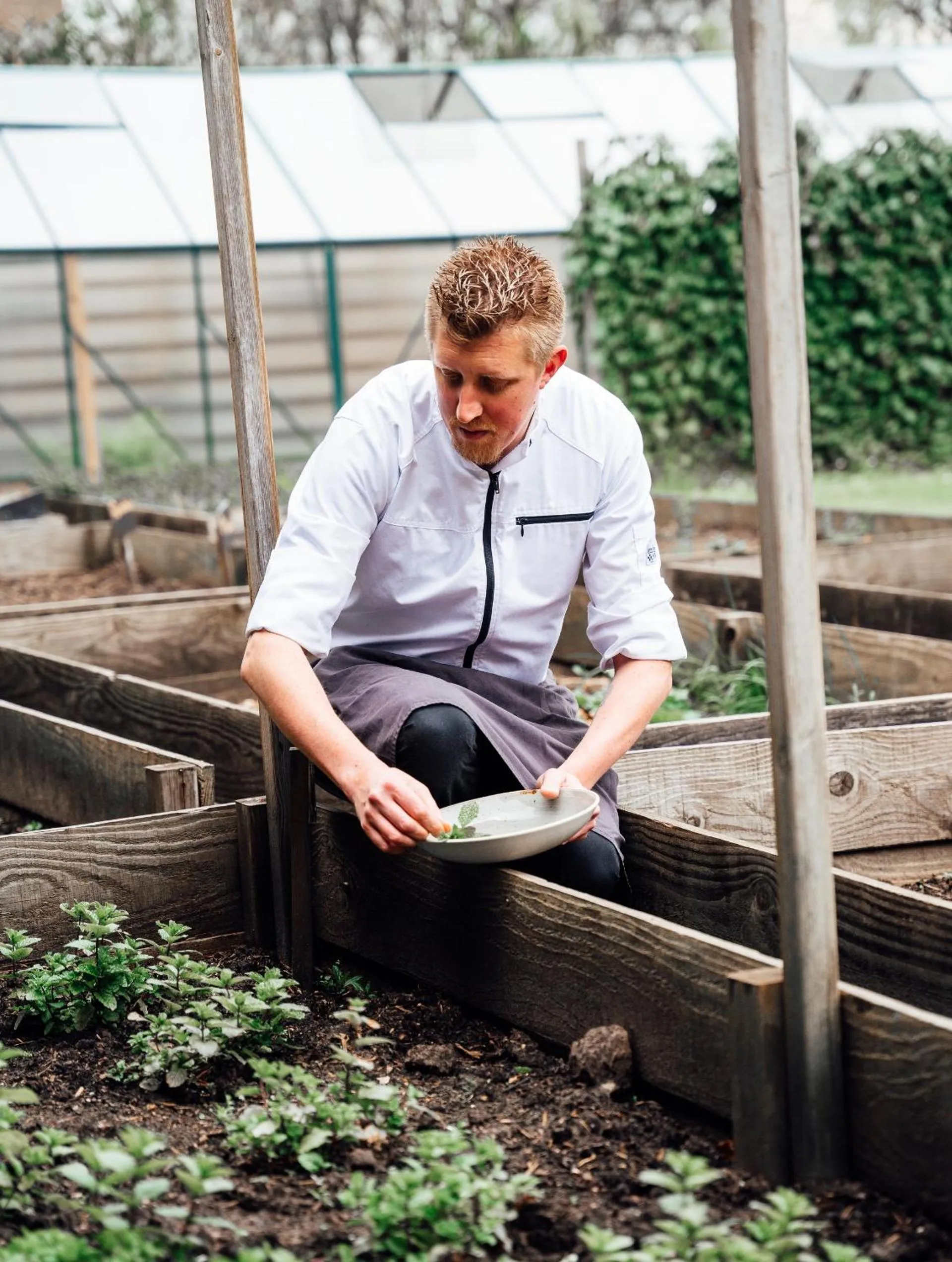 kitchen in Boutique Hotel, Restaurant & Wellness Westerburcht