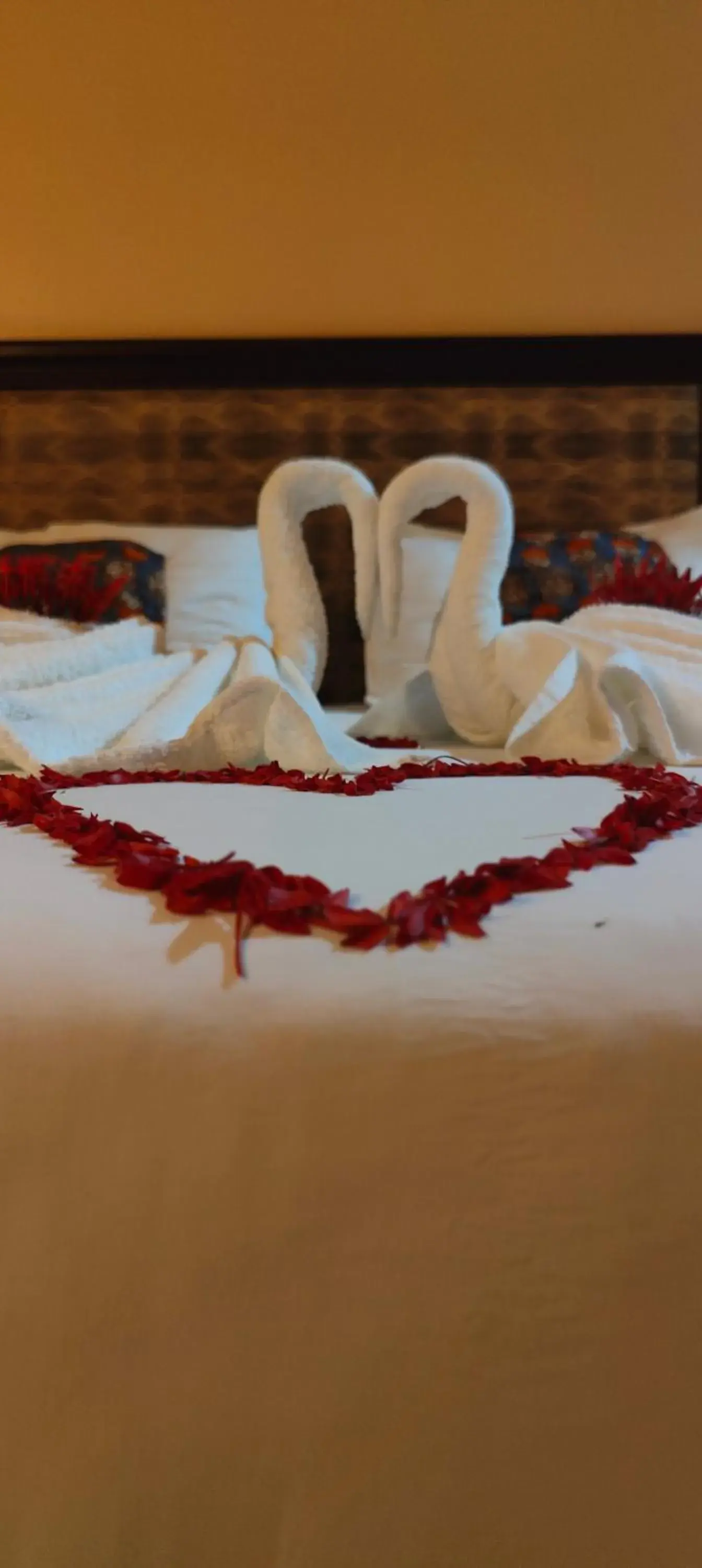 Family Room with Balcony in Paradiso Hotels & Resorts Family Room with Balcony in Paradiso Hotels & Resorts