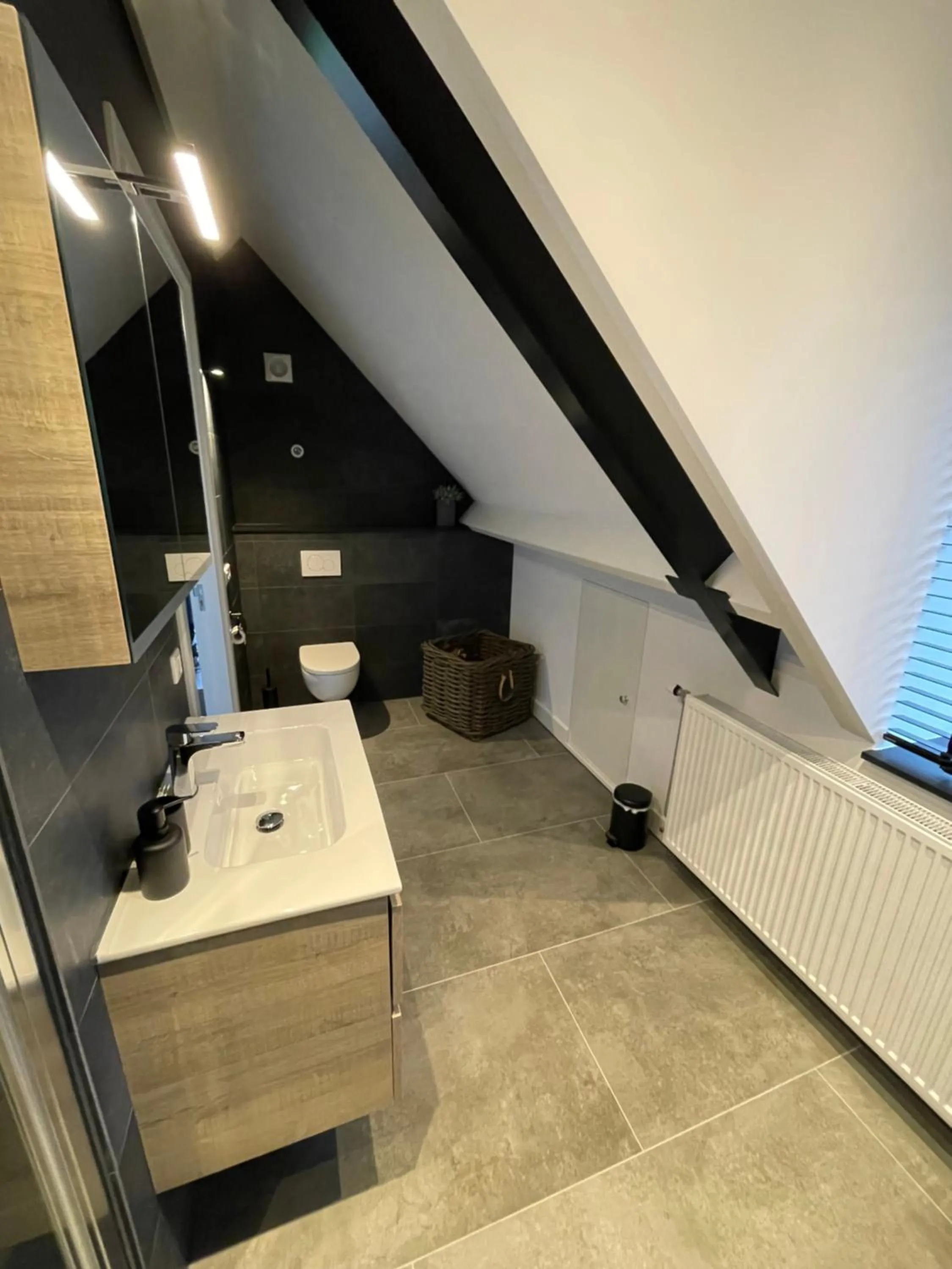 Toilet, Bathroom in B en B Stipdonk