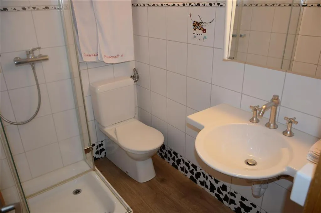 Bathroom in Le Vieux Chalet