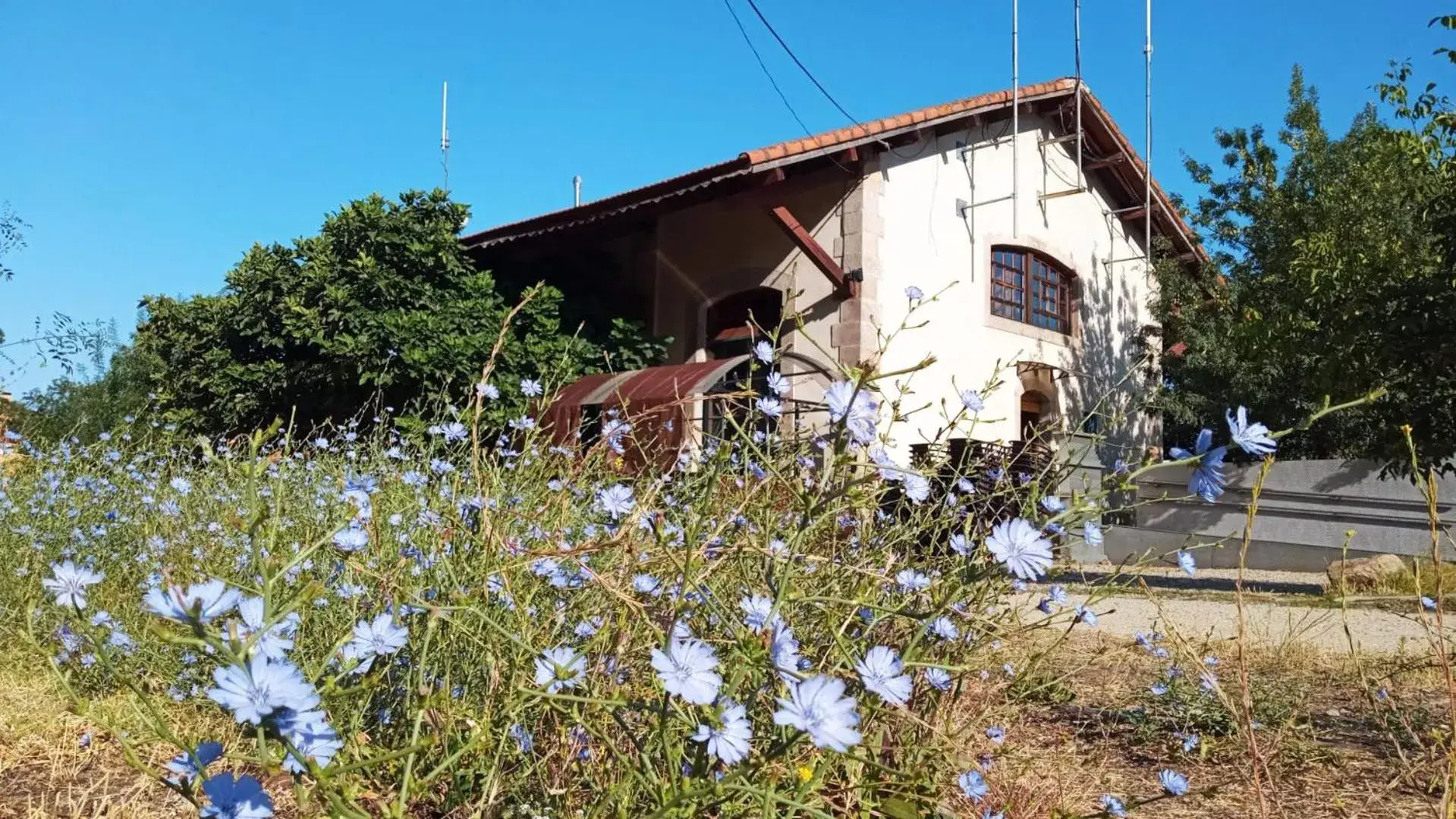 Albergue & Cafetería Vía de la Plata Hervás Albergue & Cafetería Vía de la Plata Hervás