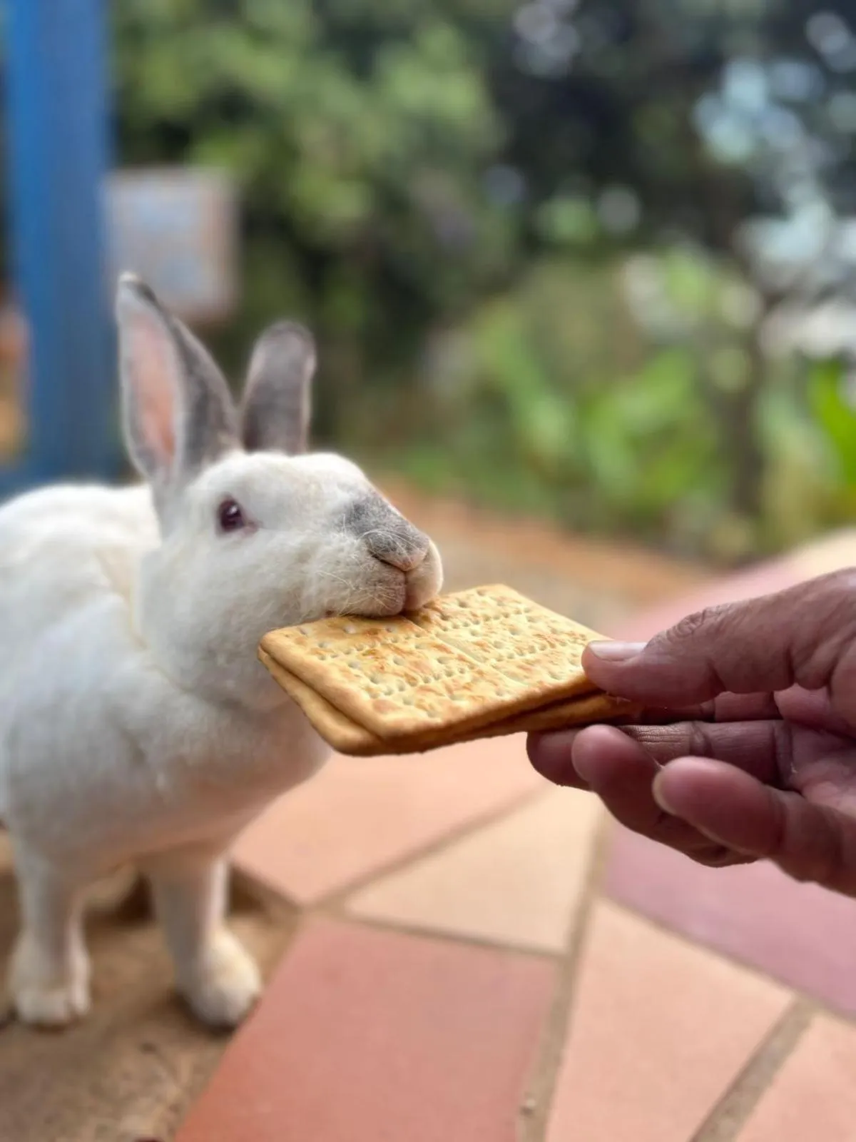 HOTEL CAMPESTRE ABRAZO DEL ANGEL