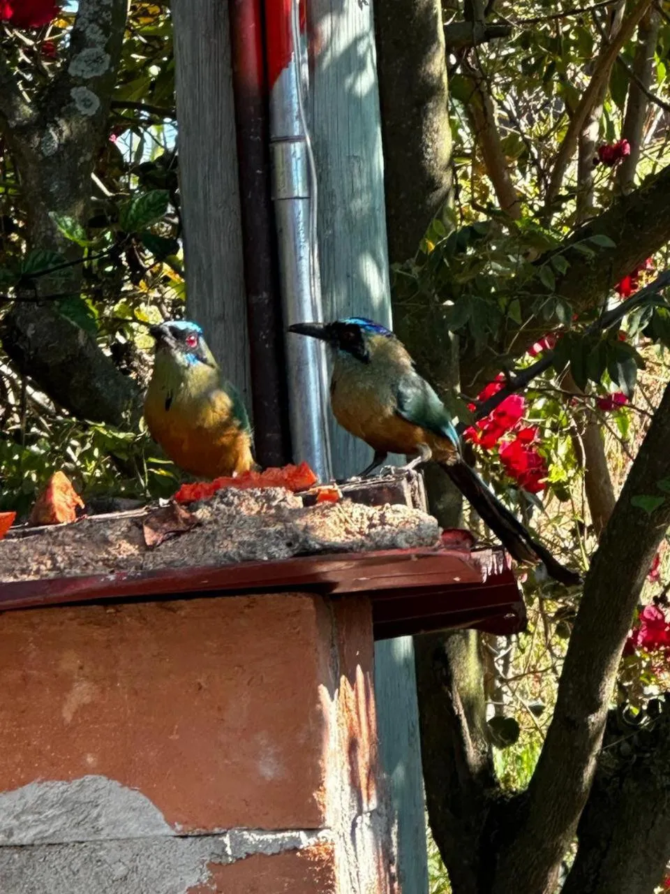 HOTEL CAMPESTRE ABRAZO DEL ANGEL