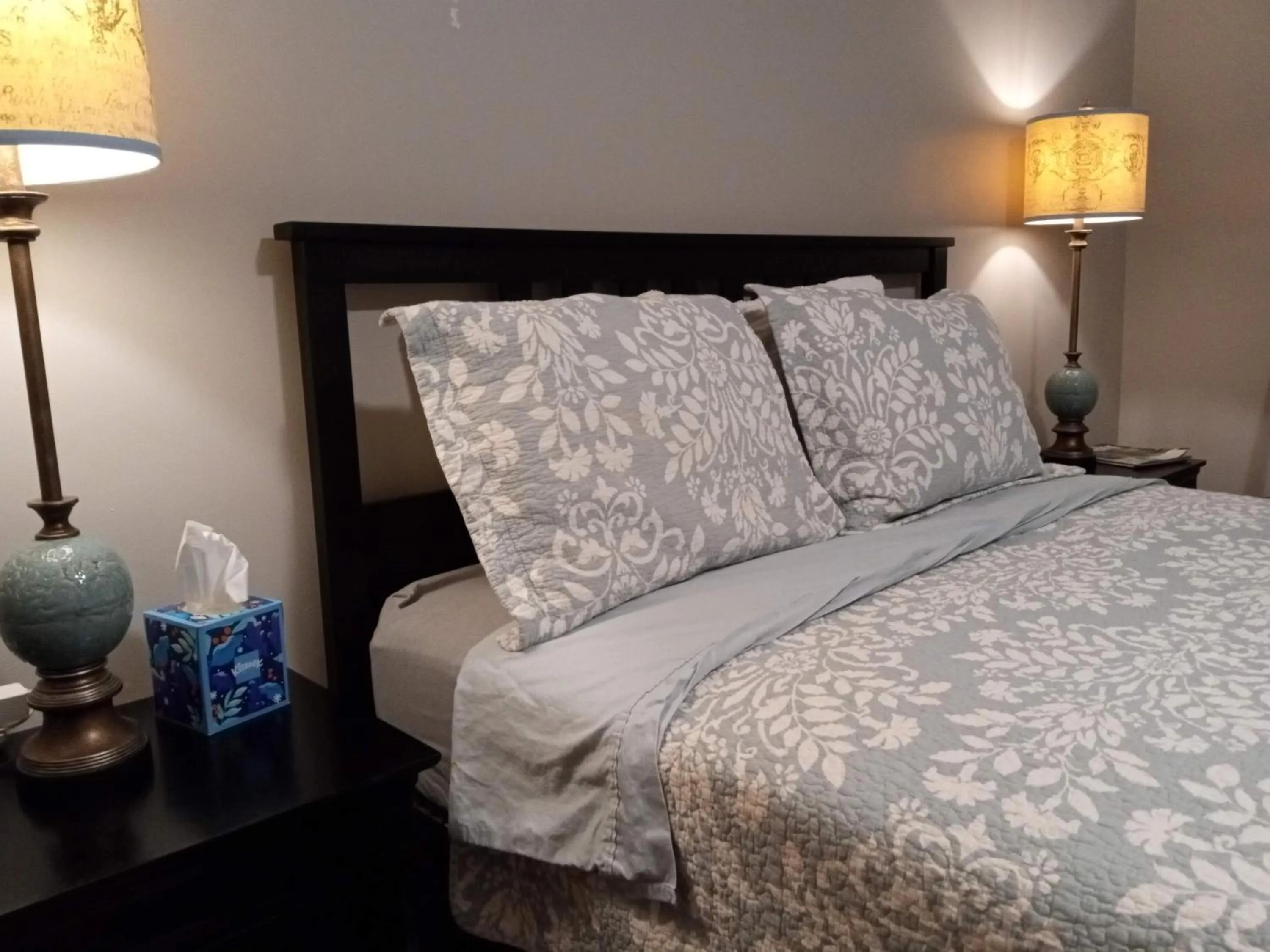 Bedroom, Bed in Fairmount House Free Street Parking Quiet Spacious