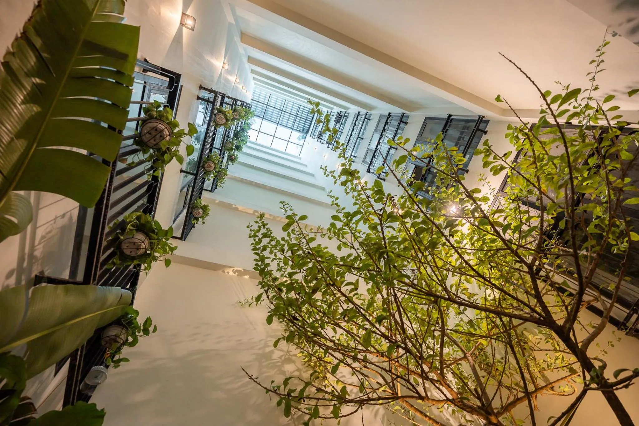 Patio in Le Parfum Apartment and Hotel