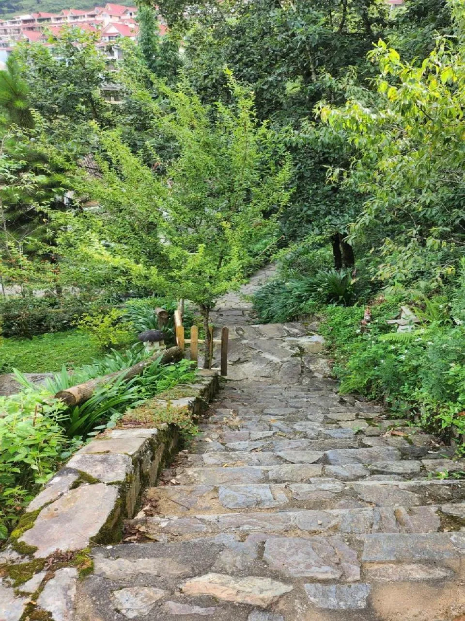 Garden in Heaven House Sapa