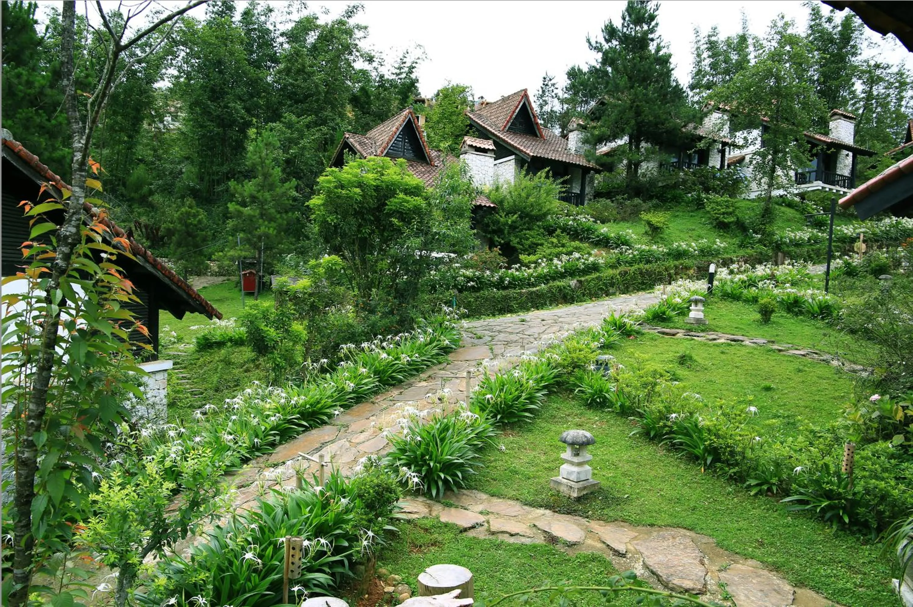Garden view in Heaven House Sapa