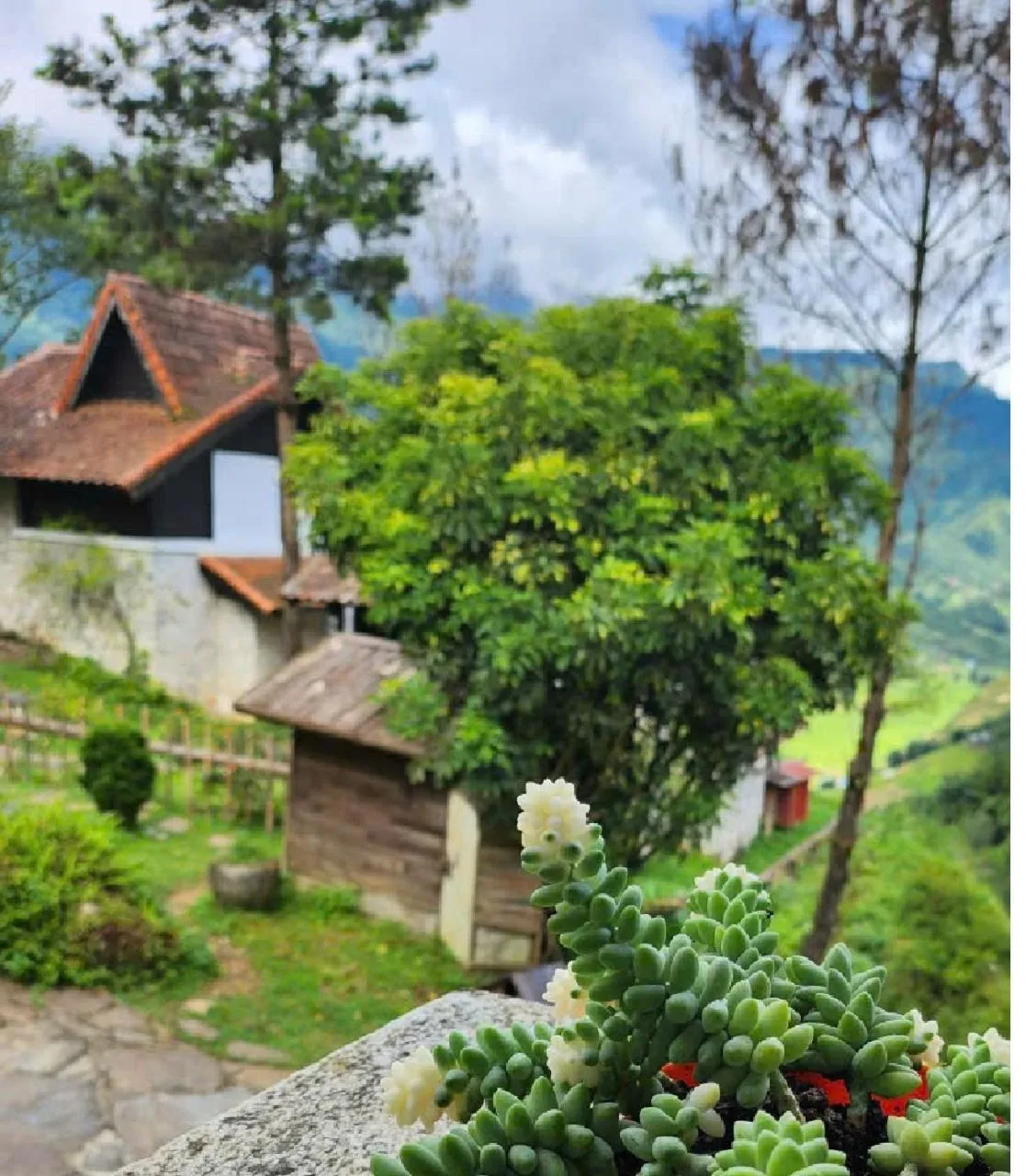 Property building in Heaven House Sapa