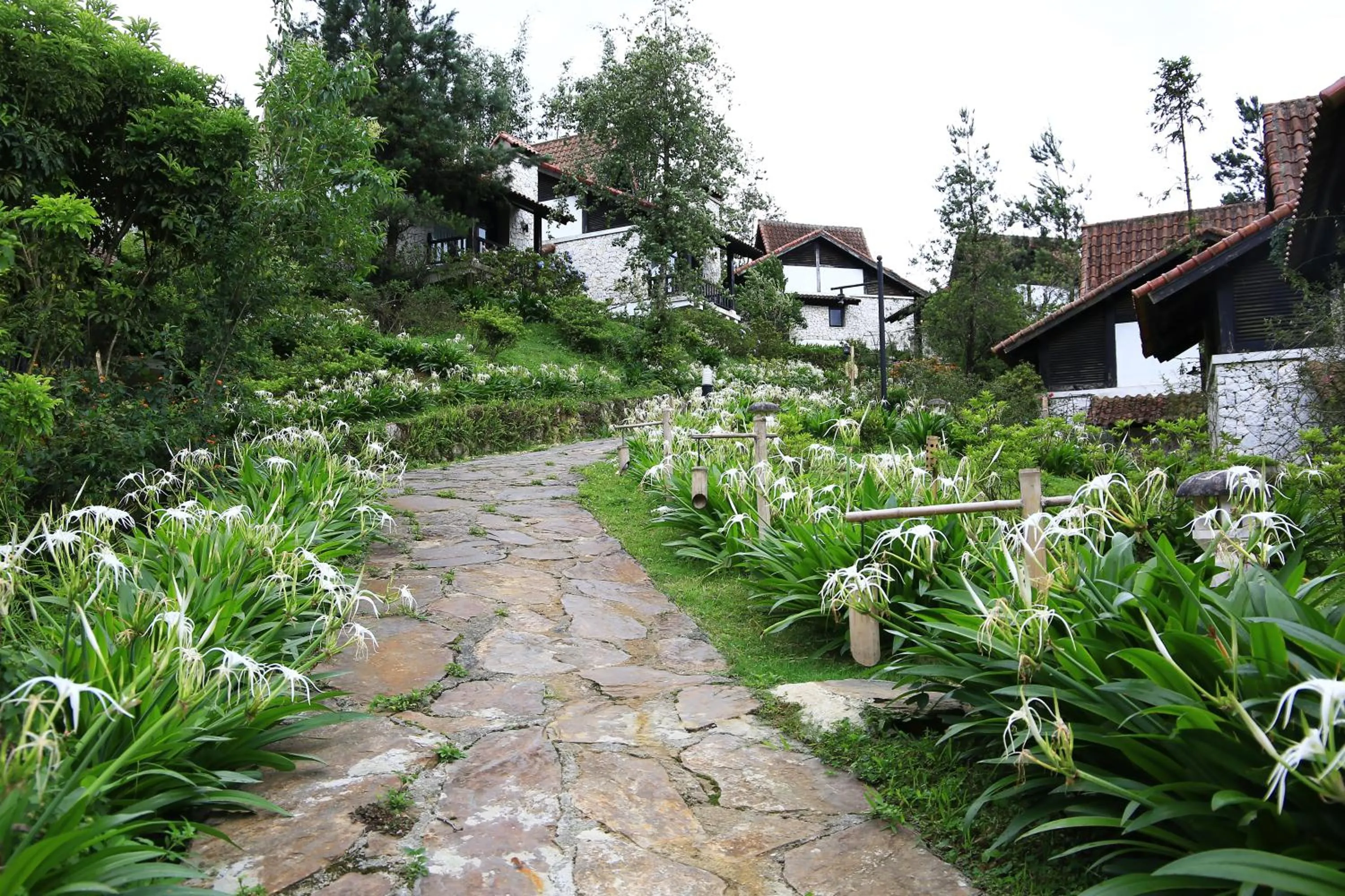 Property building in Heaven House Sapa