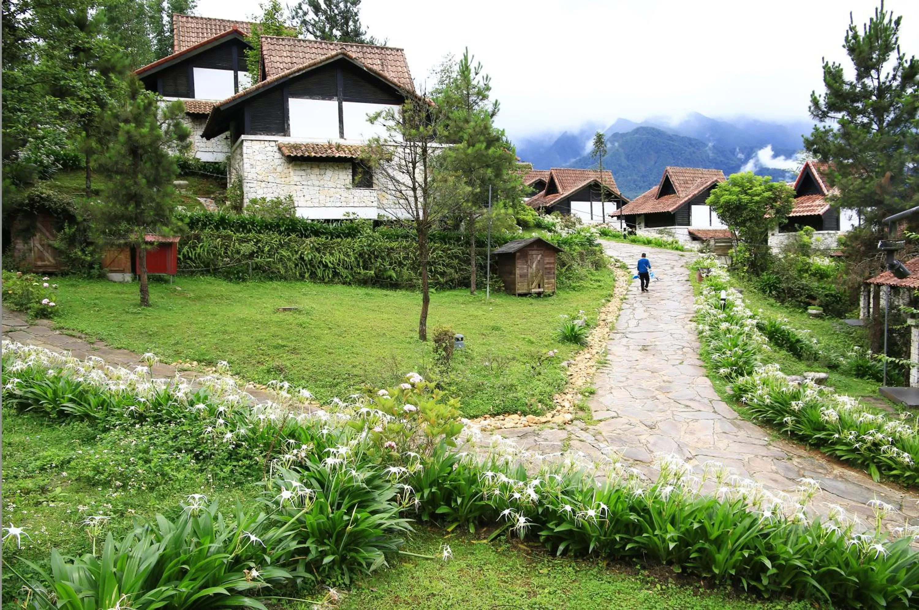 Property building in Heaven House Sapa